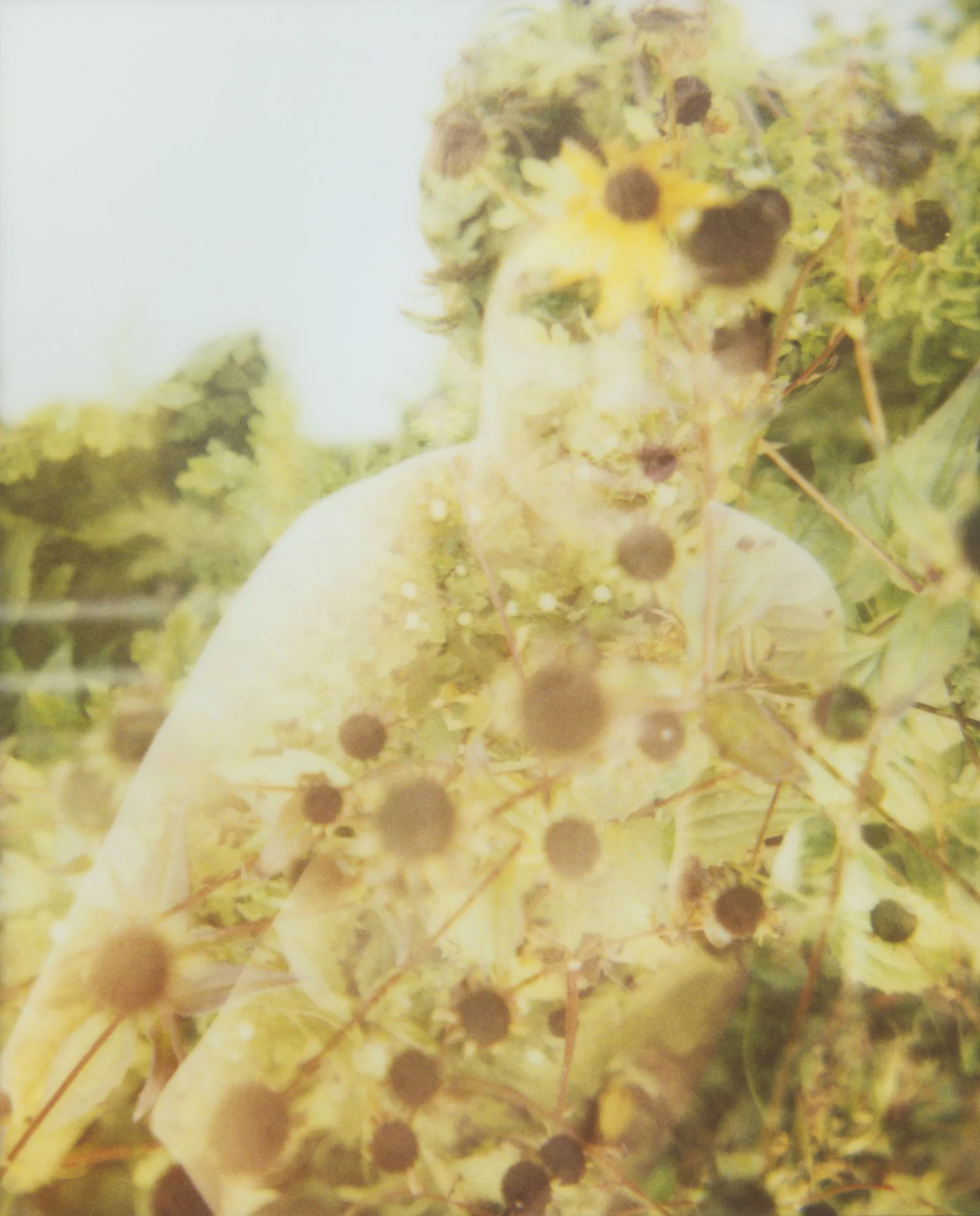 HS_36_v1A.jpg
