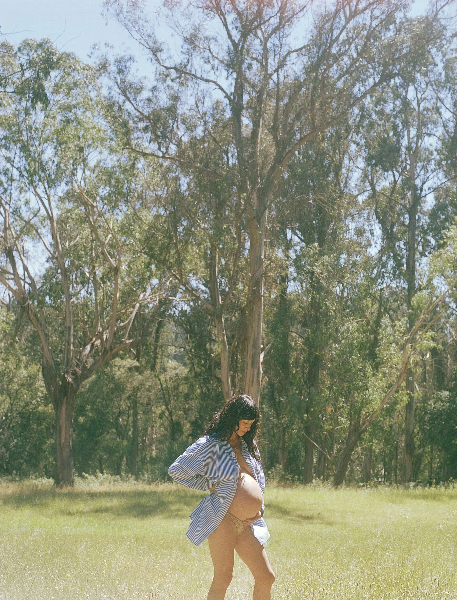 LindsPreg_120mm_5_v1.jpg