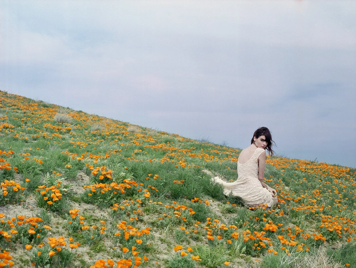 KA_Poppies_120mm_8_v02.jpg