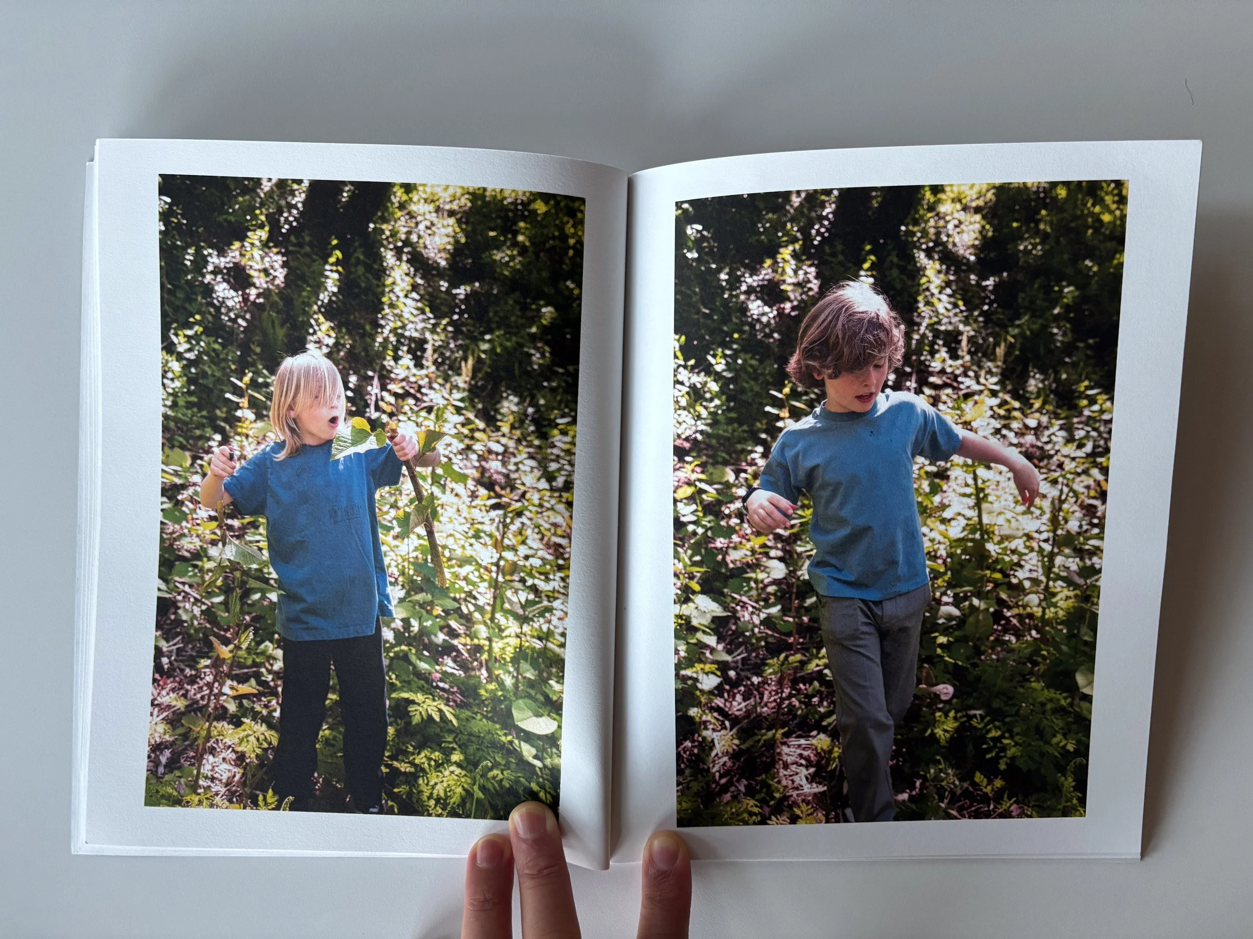 05_Birds_book.jpg