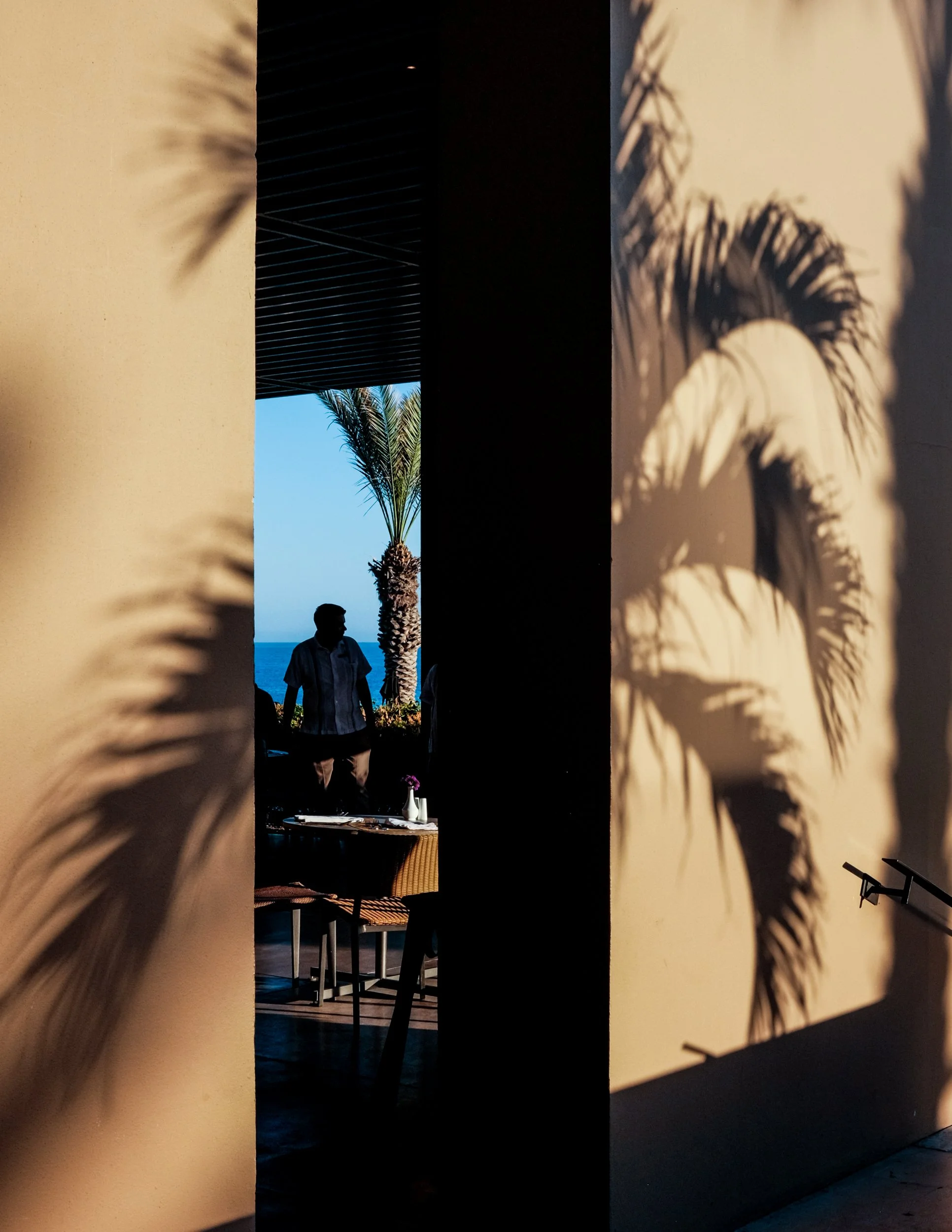 Palm frond shadows on a sunlit wall frame a figure standing in a dark doorway by the sea