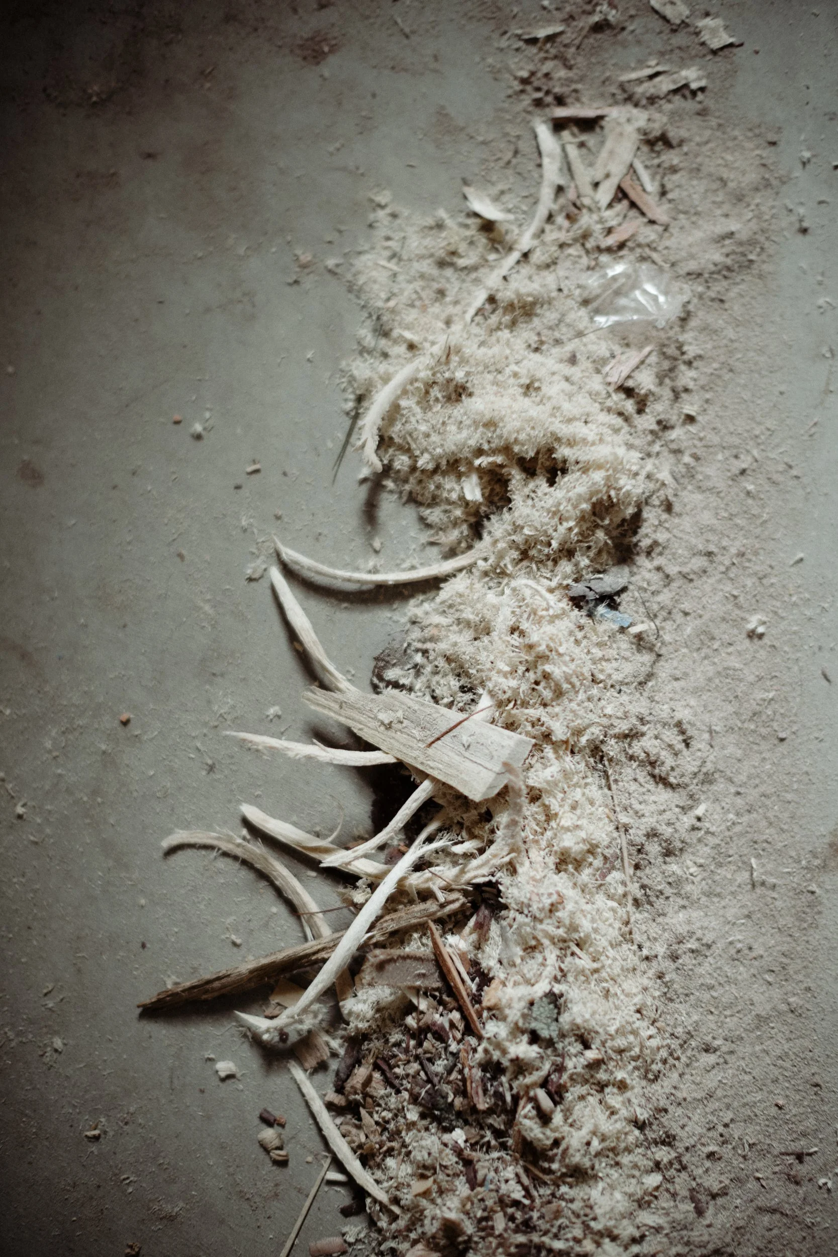 JACLYN SIMPSON PHOTOGRAPHY_0652.jpg
