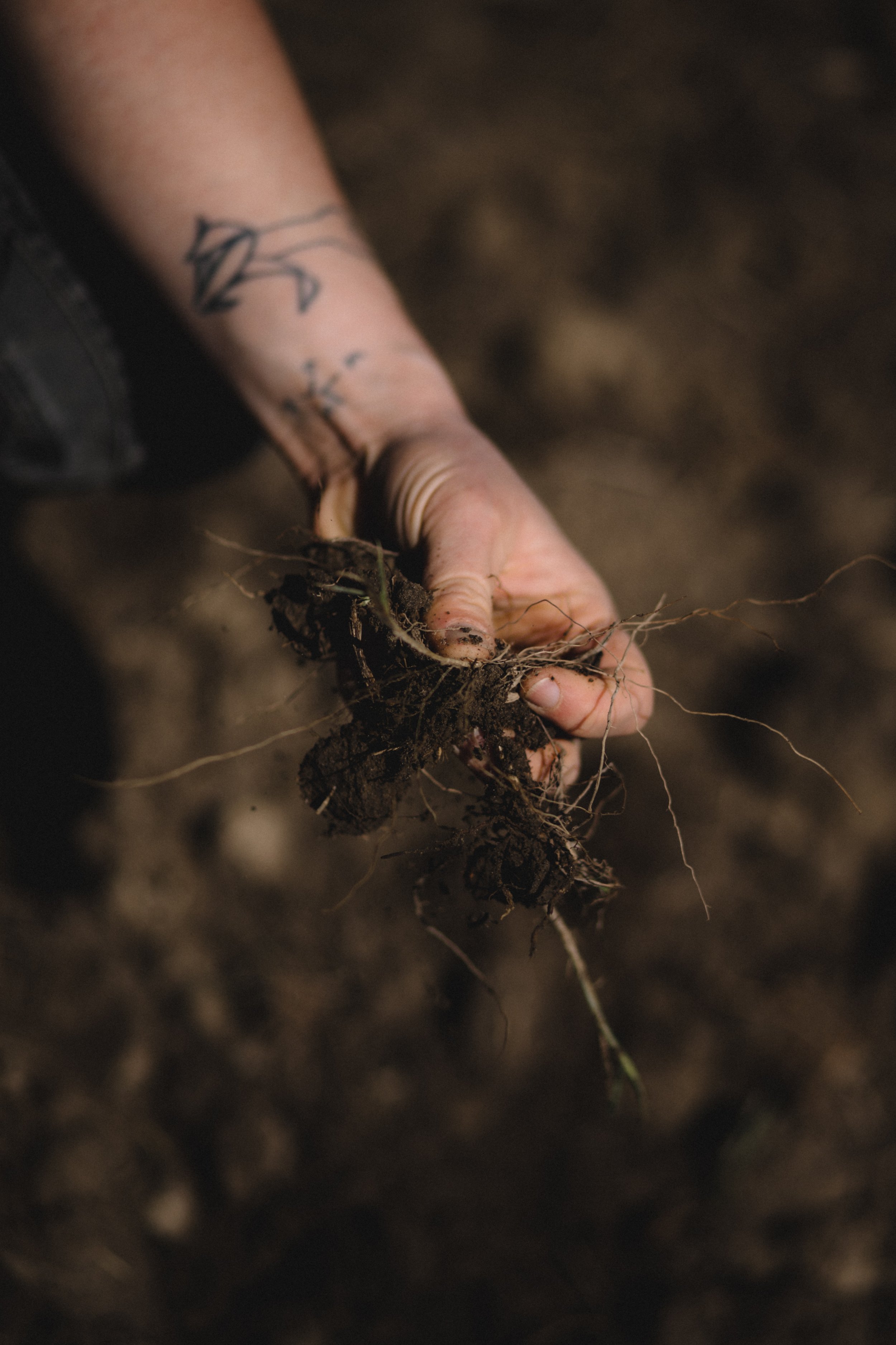 Field & Florist_100.jpg
