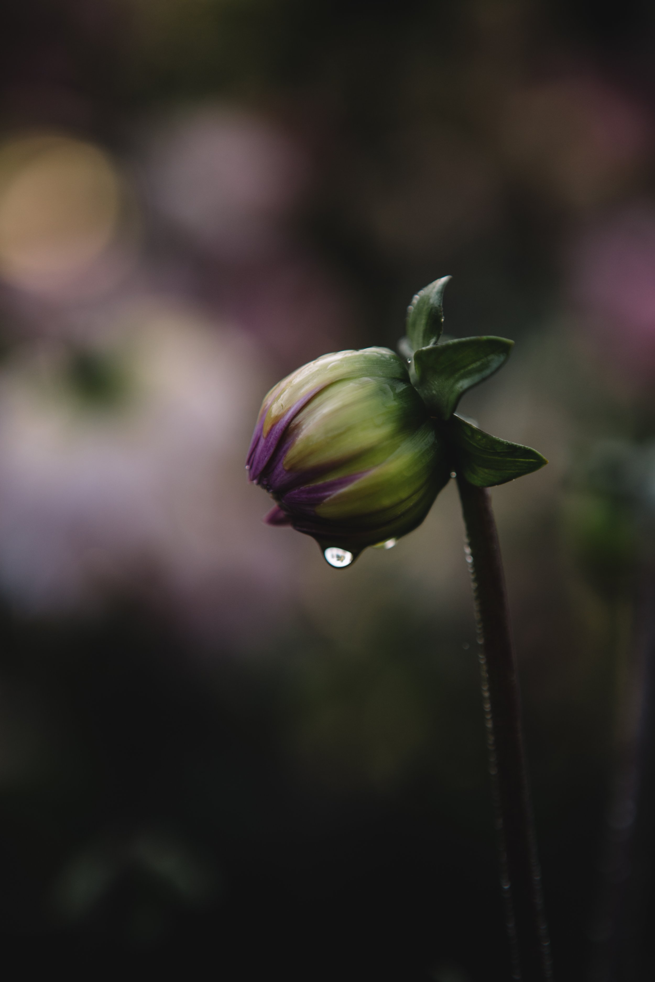 Field & Florist108.jpg