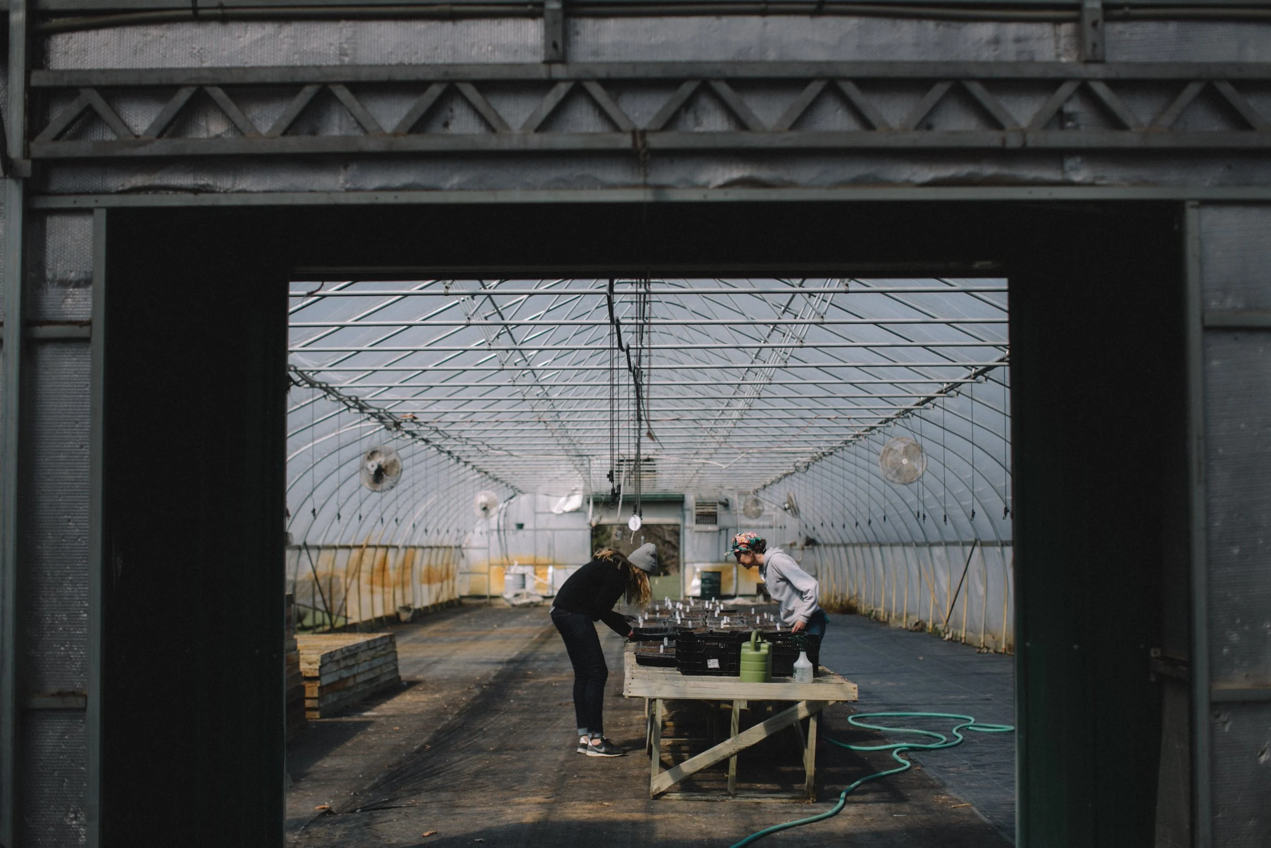 Field & Florist_133.jpg