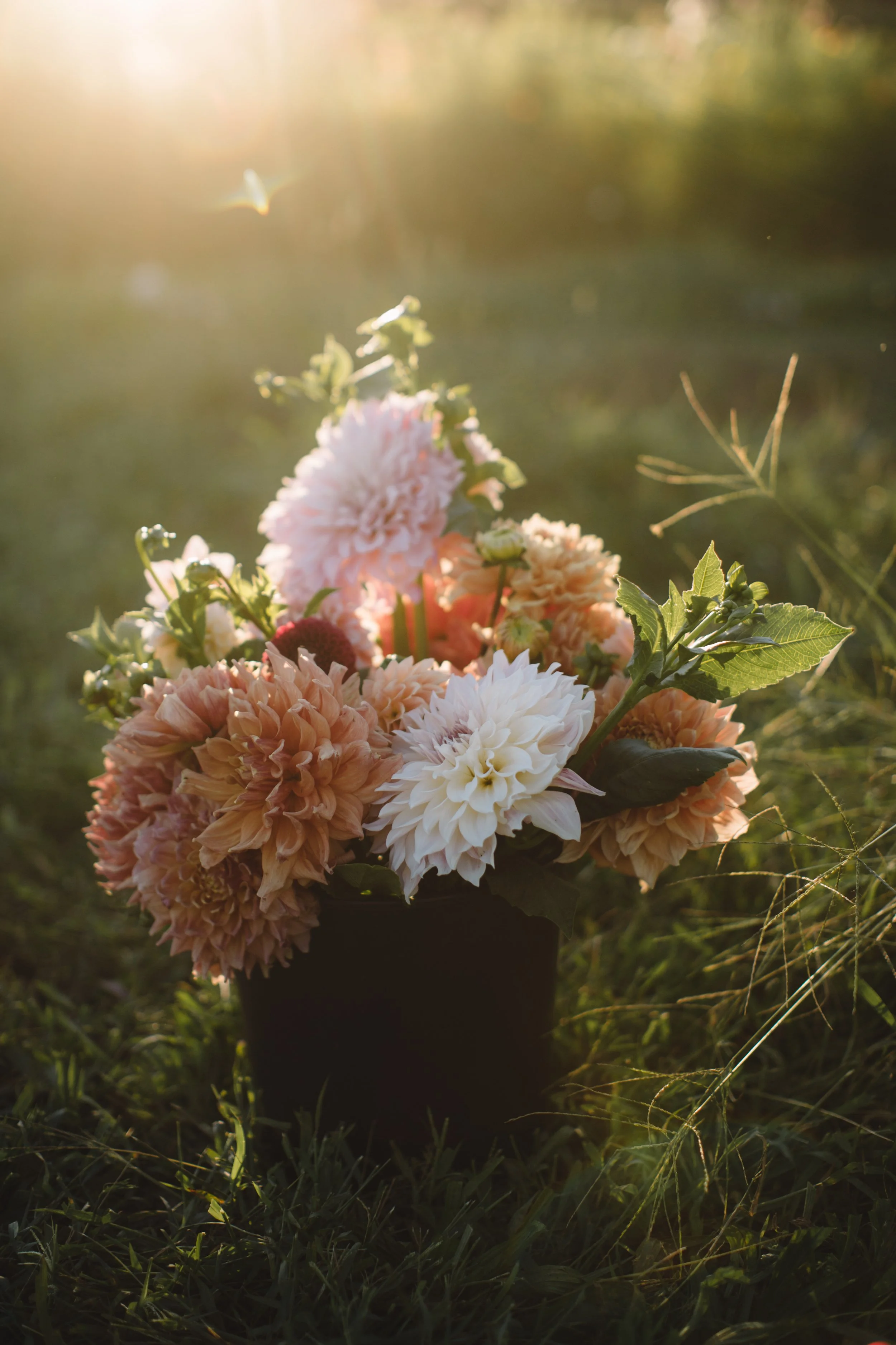 Field & Florits Farm 2_086.jpg