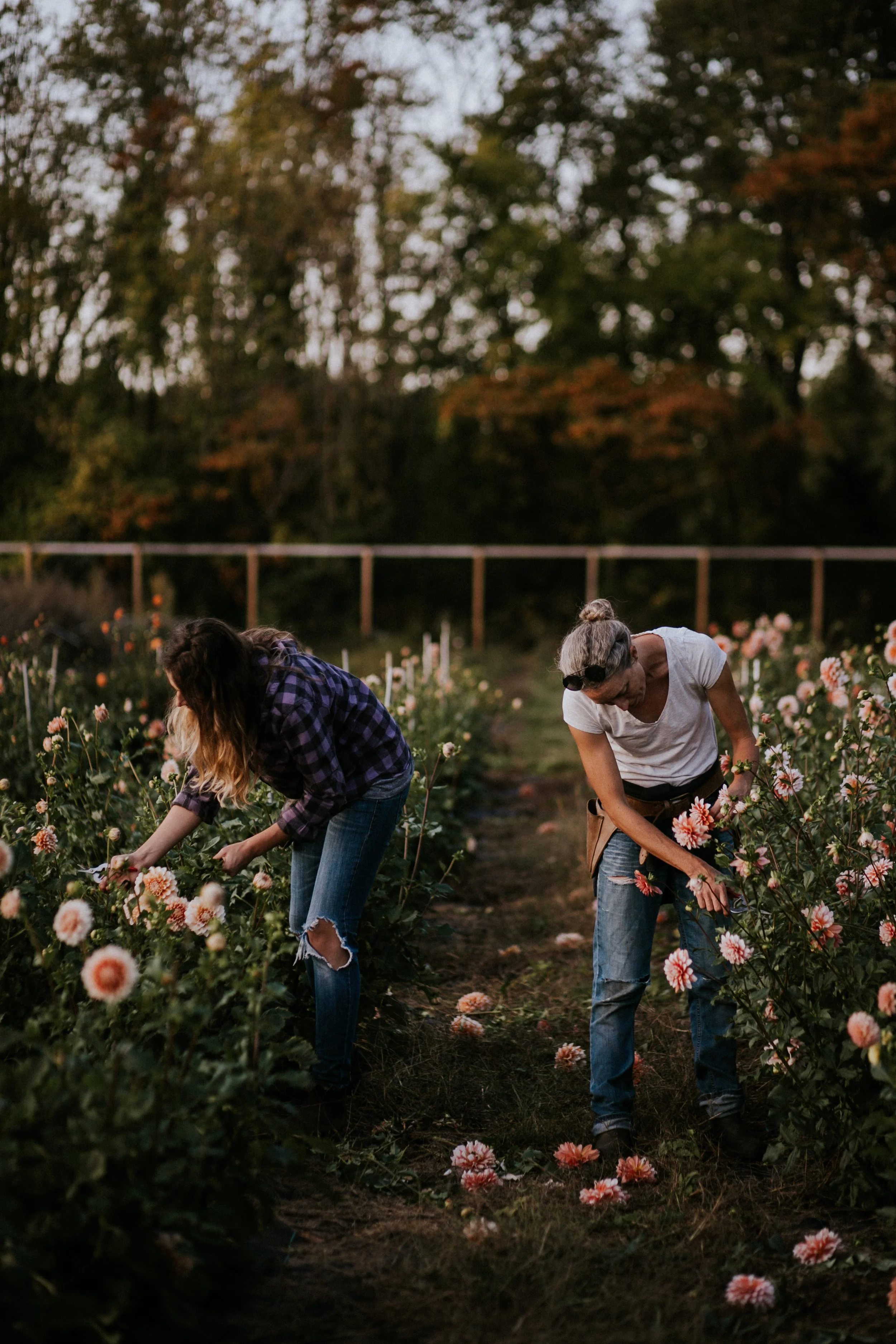 Field & Florist_102.jpg