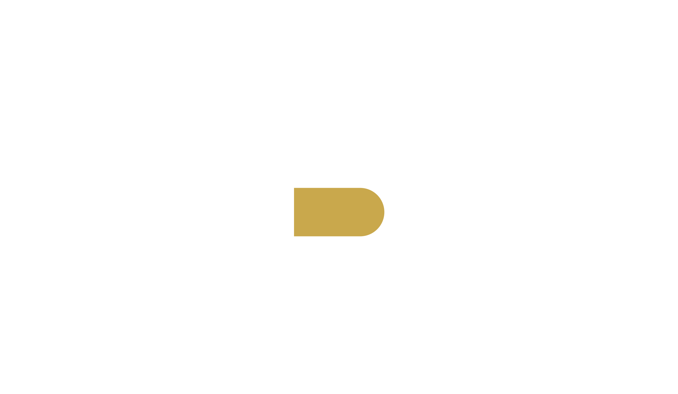 Logo with a large white letter B, a smaller gold letter B inside it, and black background. Below, the text reads 'BRAND SOME PROMO' in white capital letters.