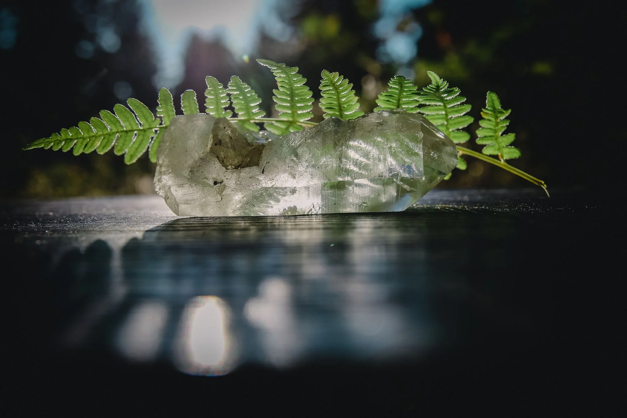 Family Constellations Group Healing Sessions