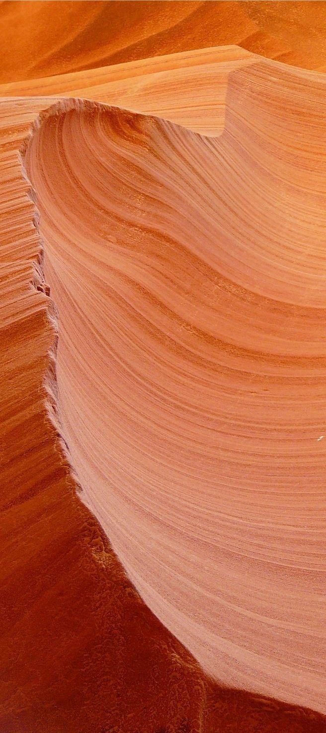 58b7c41d6b47d3a6b881fd4338e1f712.jpg