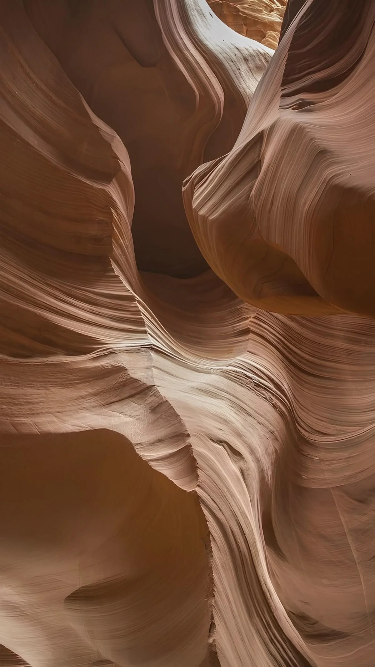 47c36c59584ee6182b2fd1329715ac6c.jpg