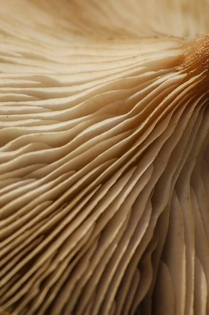 6e8e278cbe2249aaae40b33177aa796f.jpg