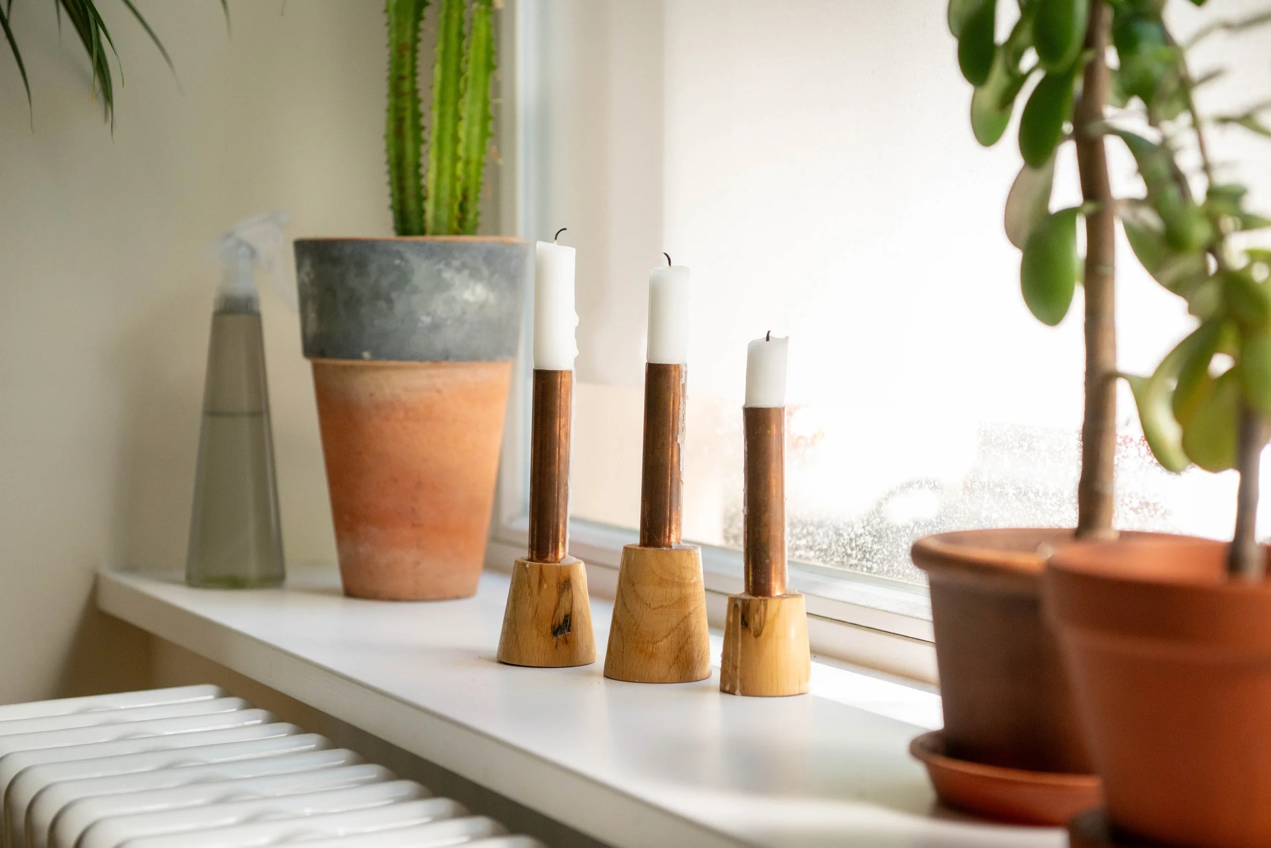 Pflanzen und Kerzen auf einer Fensterbank, mit Fensterglas im Hintergrund.