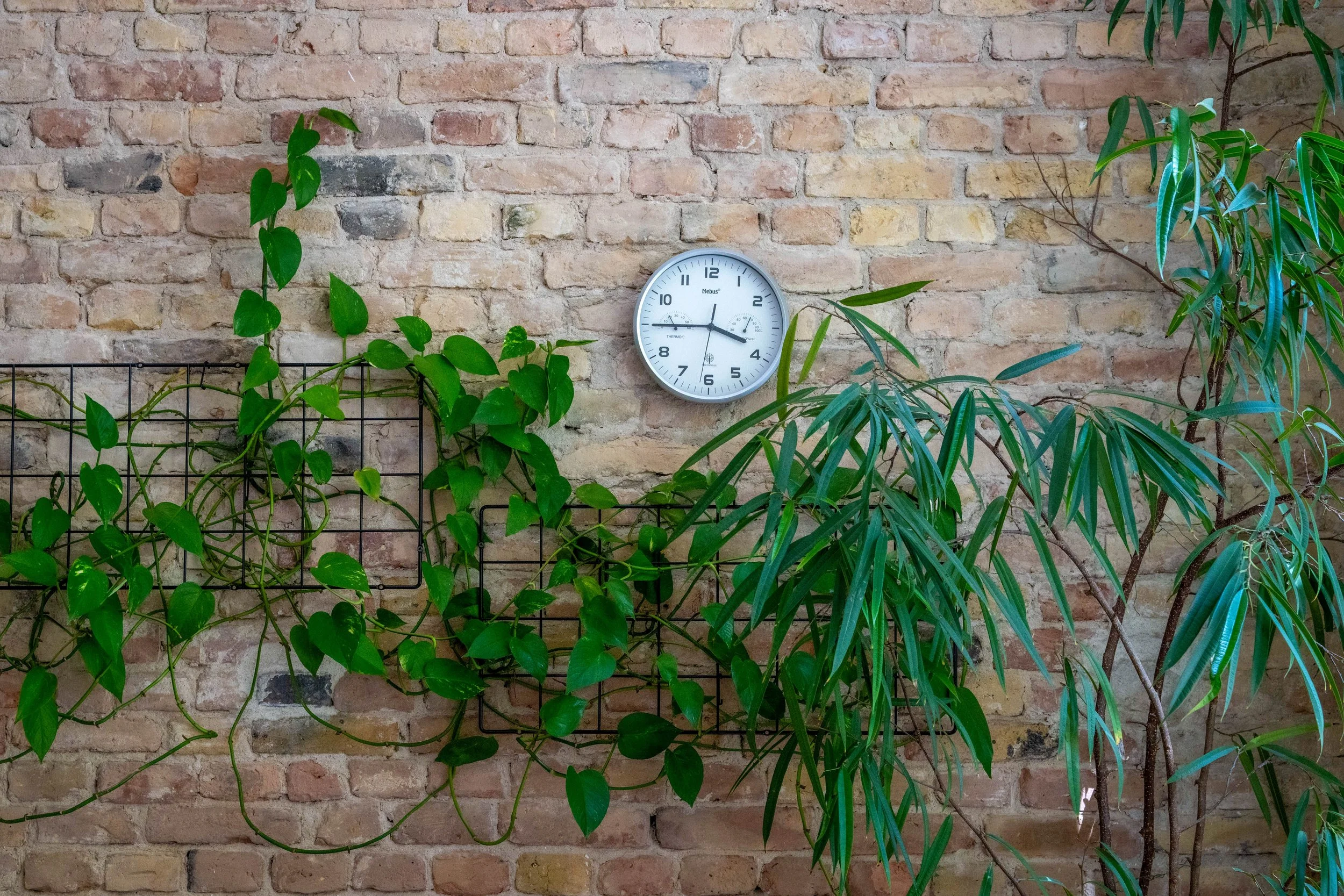 Eine Wand aus Ziegelsteinen mit einer Uhr in der Mitte und grünen Pflanzen davor.