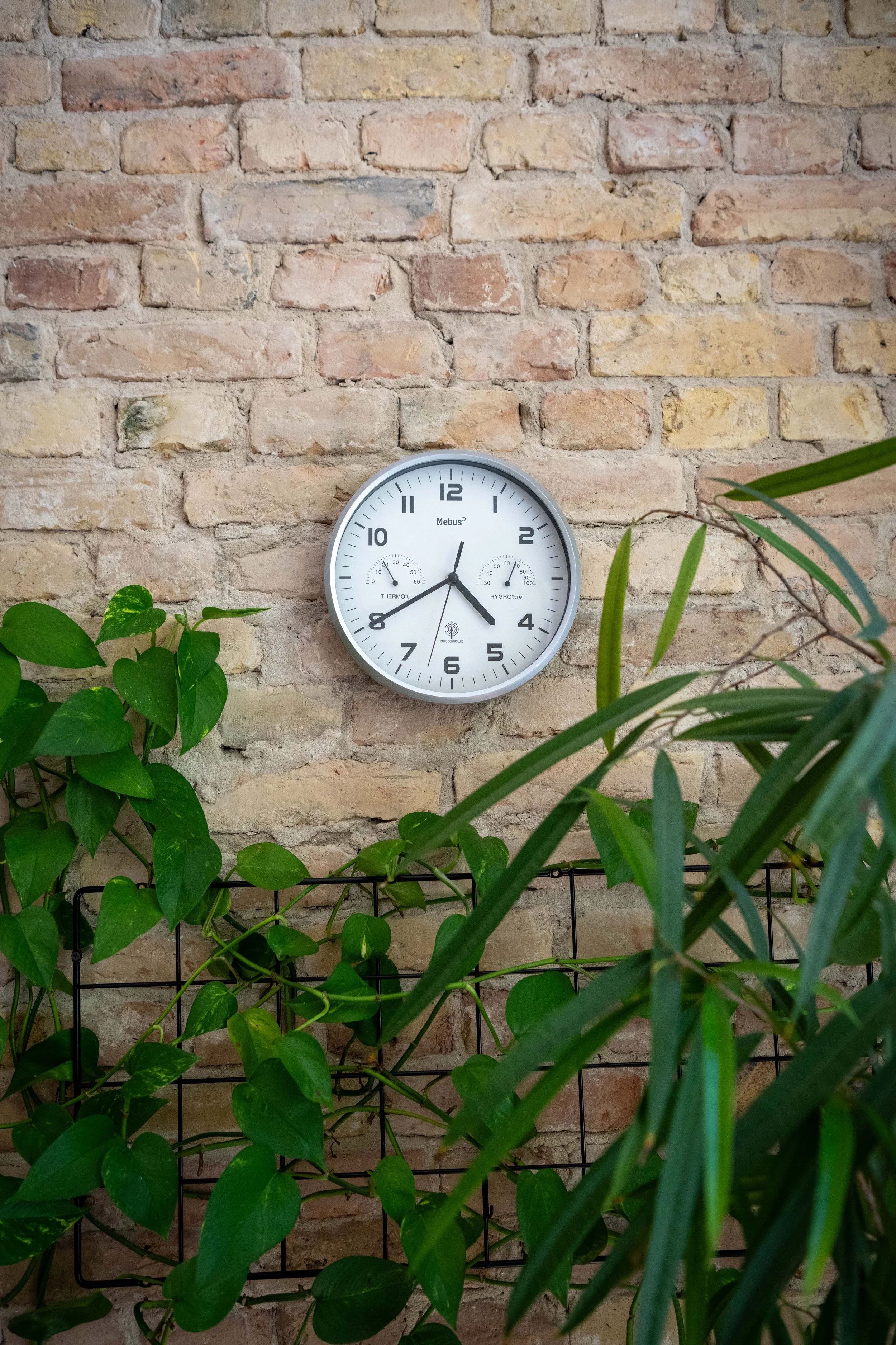 Eine Wanduhr an einer Ziegelwand, umgeben von grünen Pflanzen