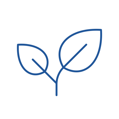 Leaves icon