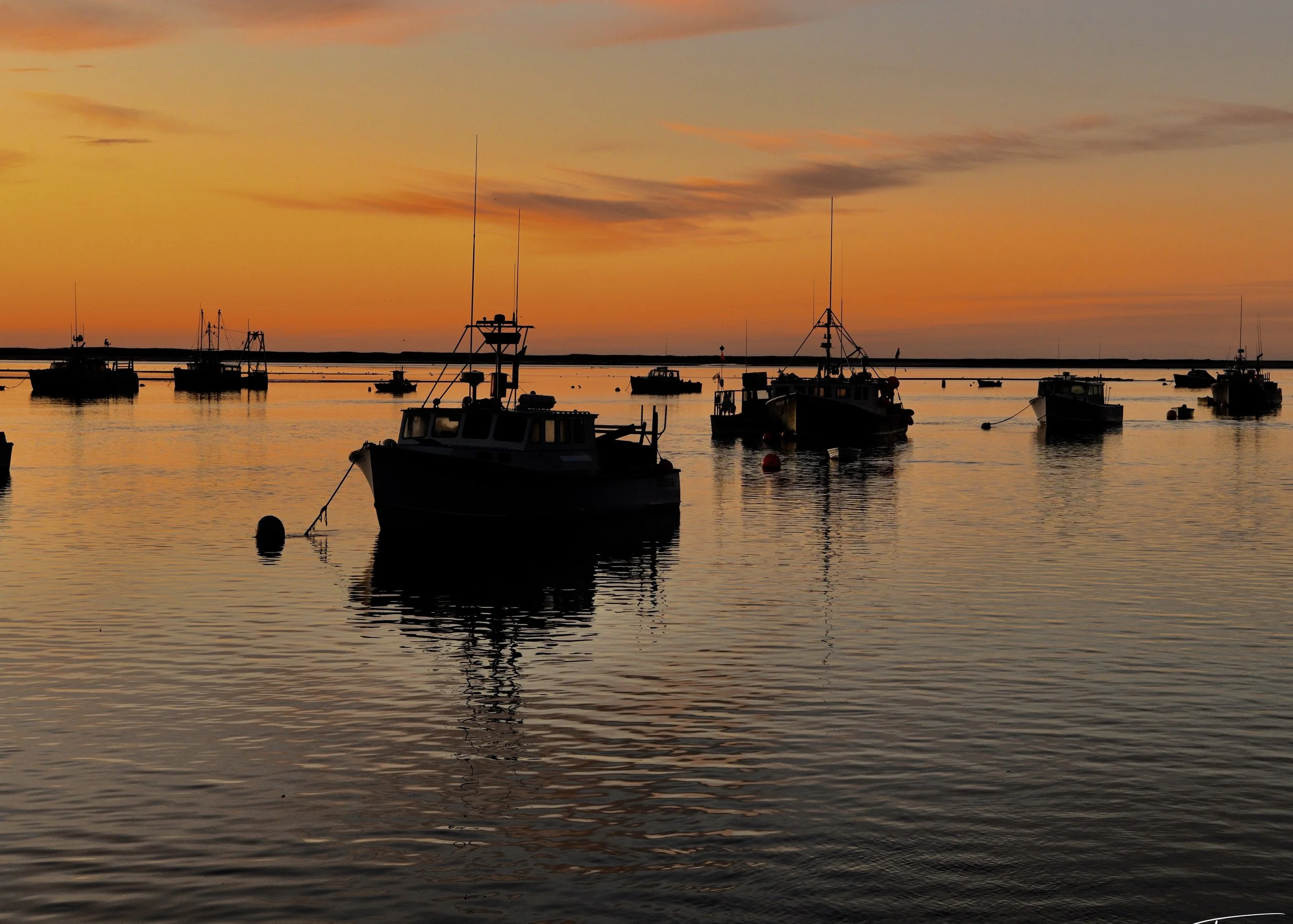 DSC_8186.jpg