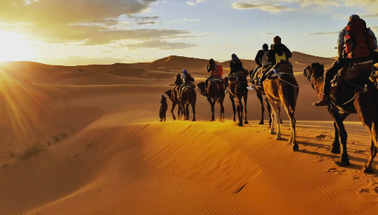 National Geographic Expeditions