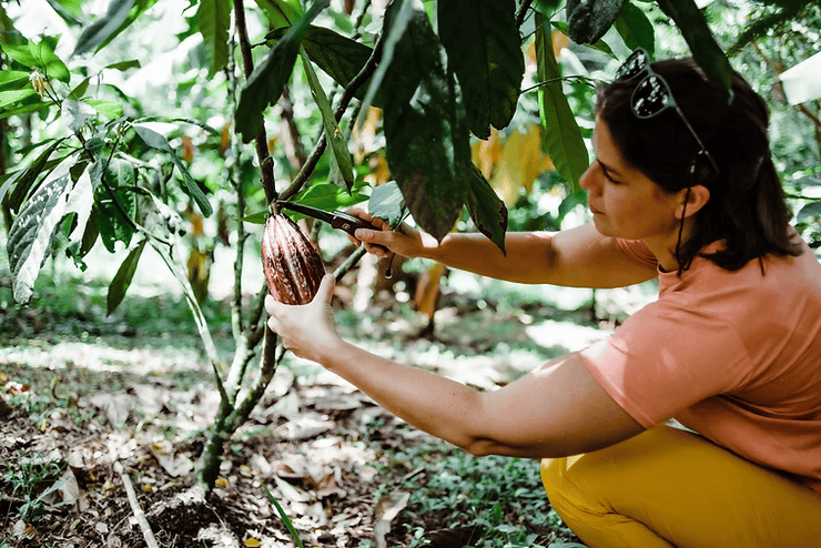 Women's Tours: Cultivating Community Through Curated Adventures