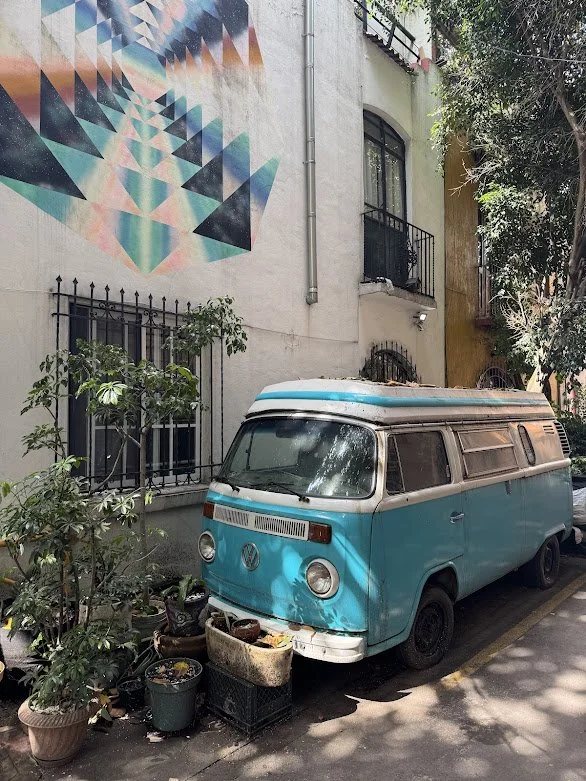 A vintage light blue Volkswagen camper van parked on a street next to a building with a geometric mural painted on the wall. There are potted plants and trees around the van.