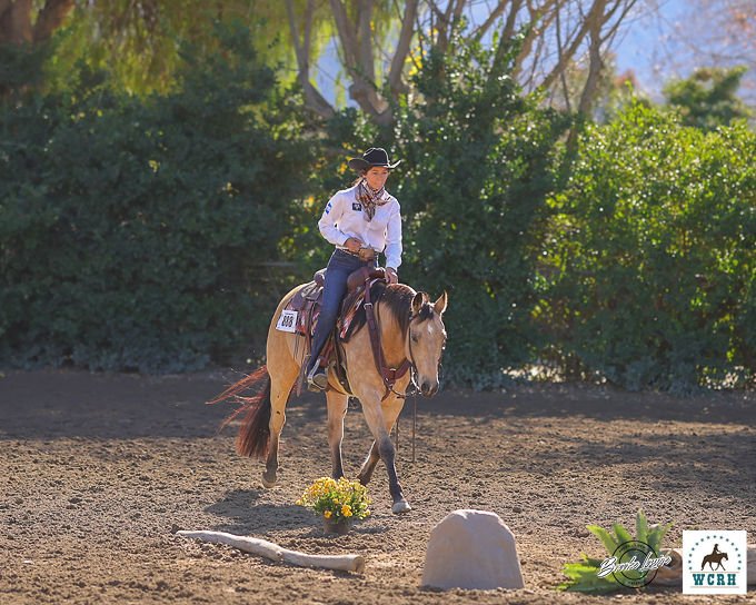 Woman riding a horse on an outdoor arena during a sunny day, with trees and bushes in the background.
