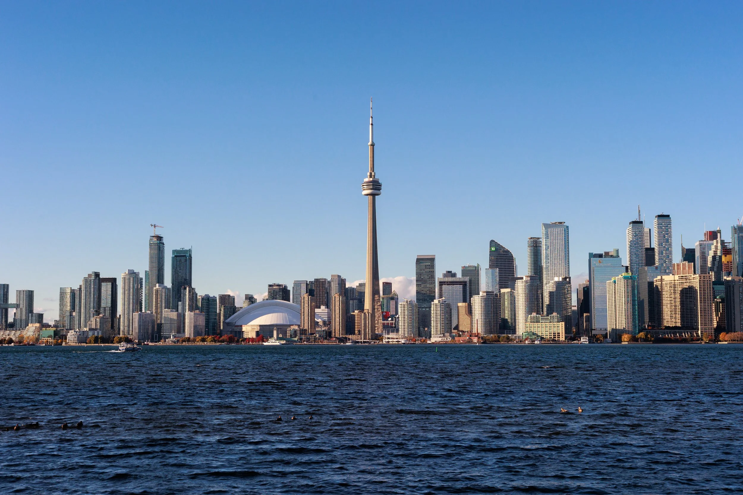 Toronto, 2024-Ongoing