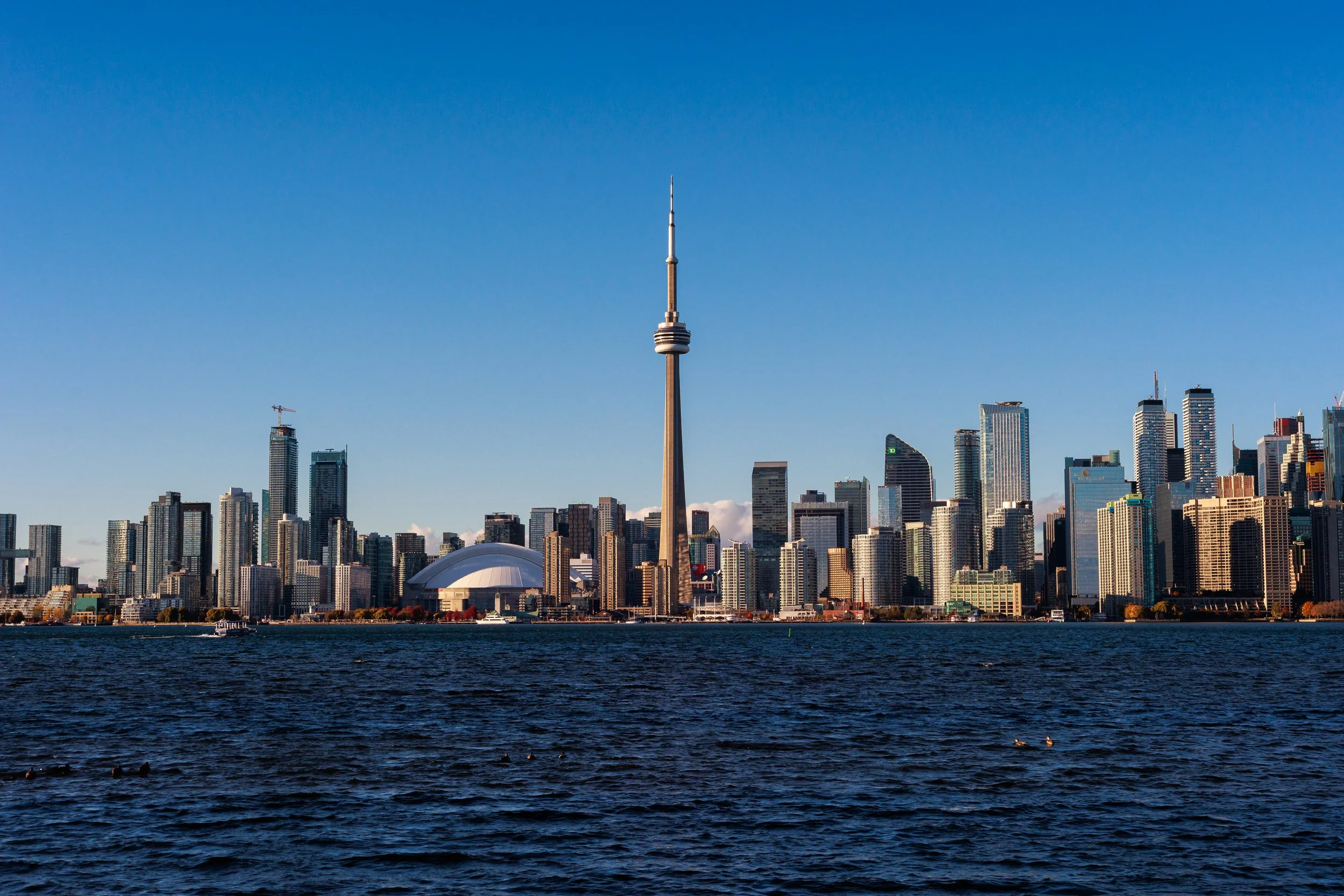 Toronto, 2024-Ongoing