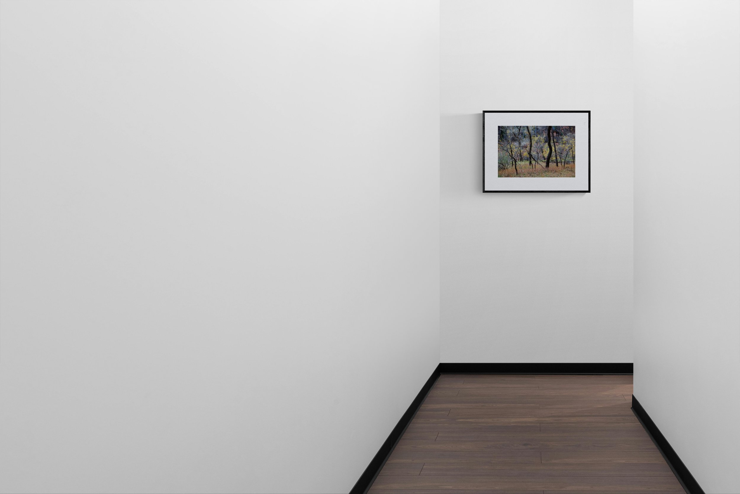 Zion framed in black - display mockup