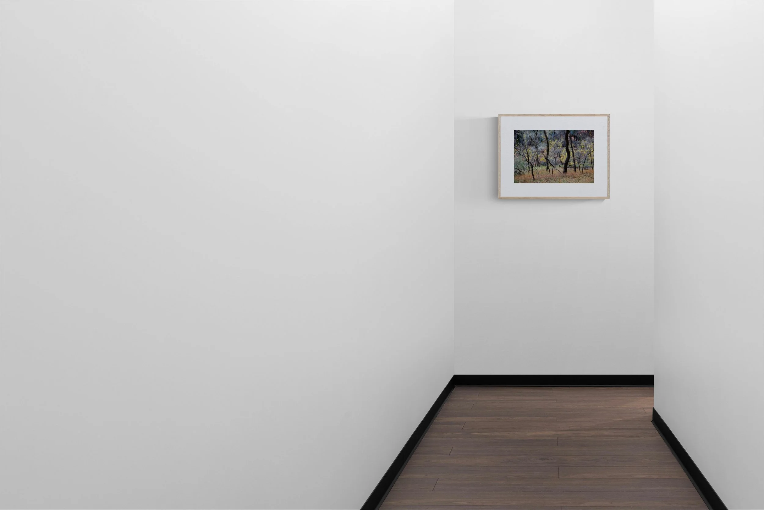 Zion framed in natural wood - display mockup