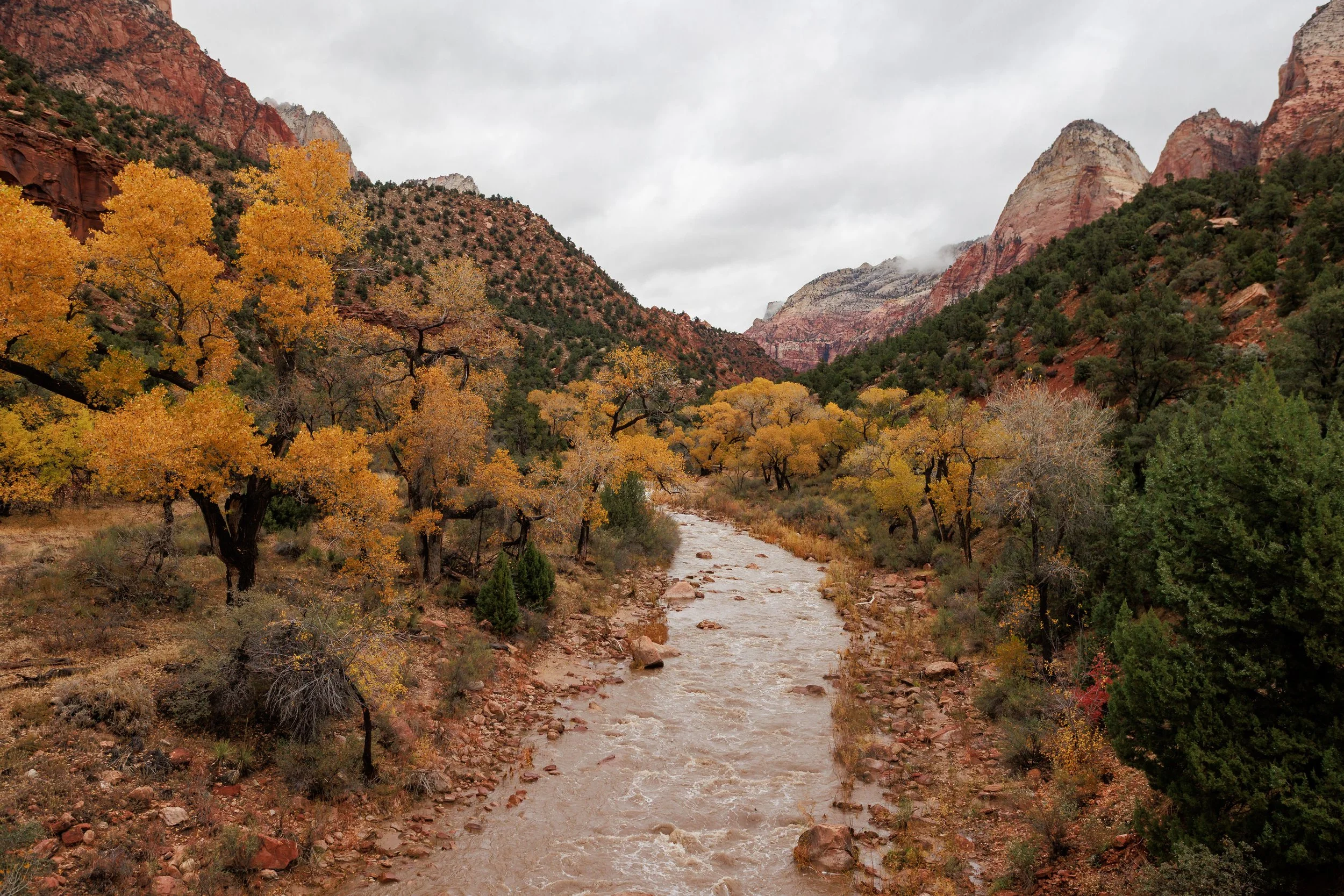 Zion National Park, Utah, 2023
