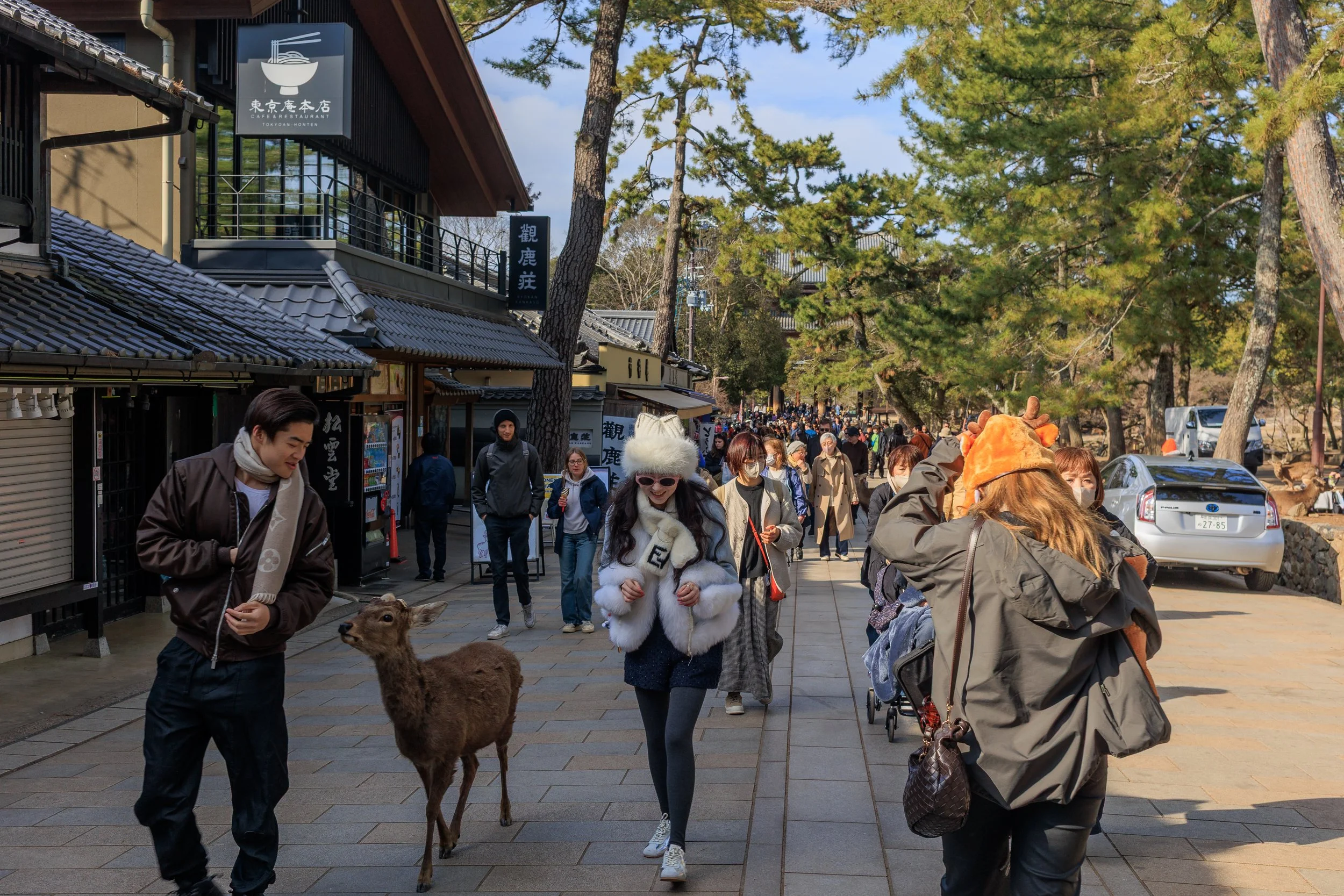 Nara Park