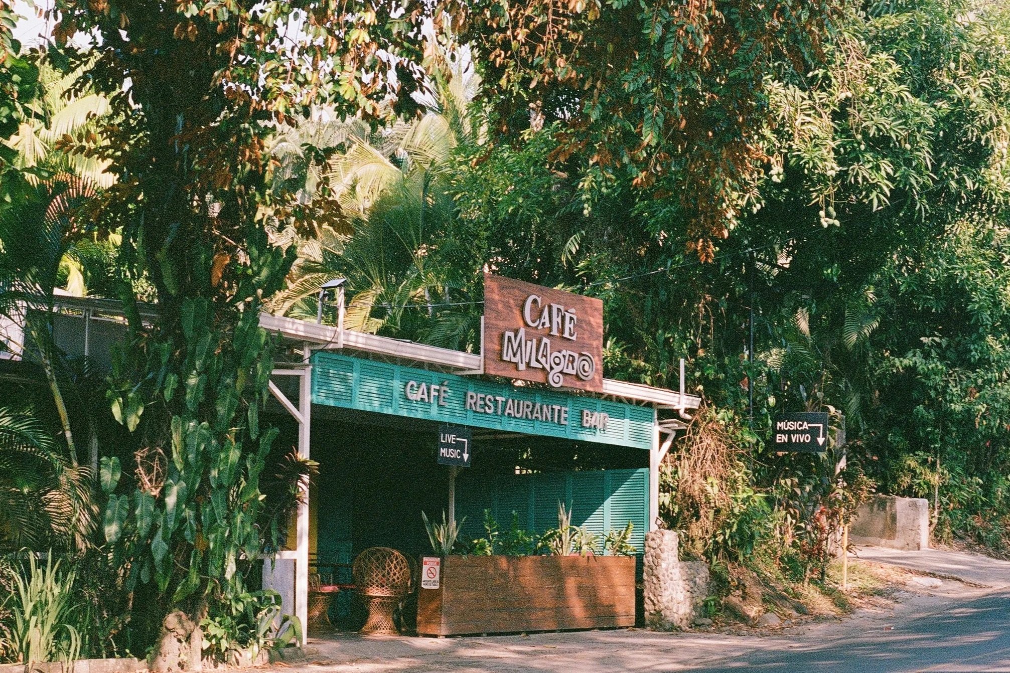 A tropical restaurant with lush green foliage trees covering the building. The sign on the building reads 'Café Míaoro' with additional signs mentioning live music and a bar. There are outdoor seating areas visible, and the scene has a relaxed, natur