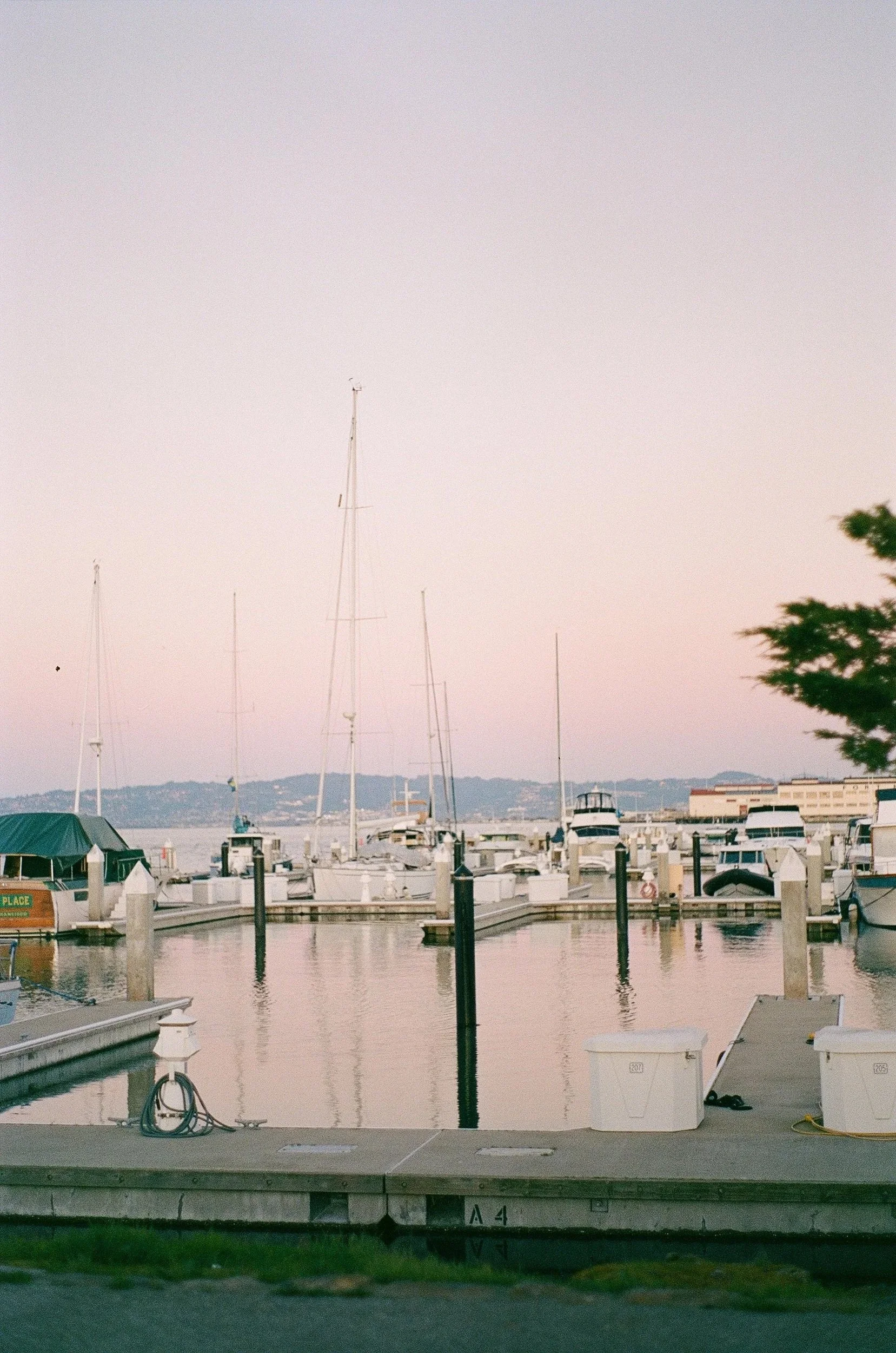 Marina with moored boats and yachts on calm water, pilings and docks, view of distant hills and buildings, and a pale sky.