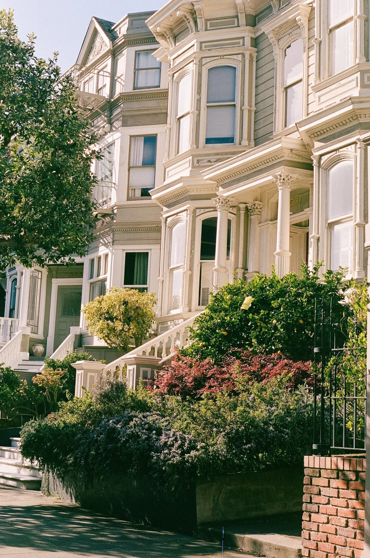 A row of Victorian style houses with detailed trim and bay windows, surrounded by lush garden plants and trees, in a neighborhood with a sidewalk and a brick wall.
