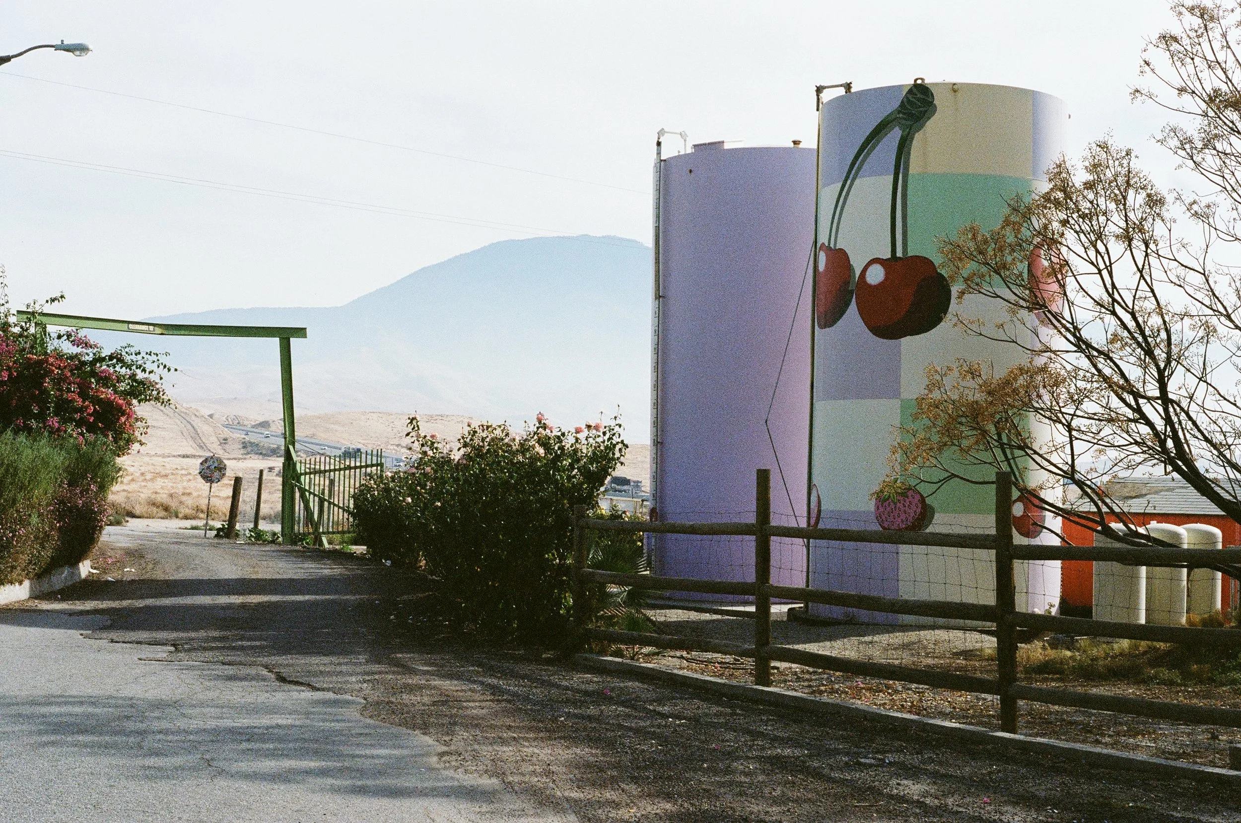 A mural of cherries painted on a large cylindrical water tank in an outdoor area with trees, flowers, a pathway, and a background of hills or mountains under a partly cloudy sky.