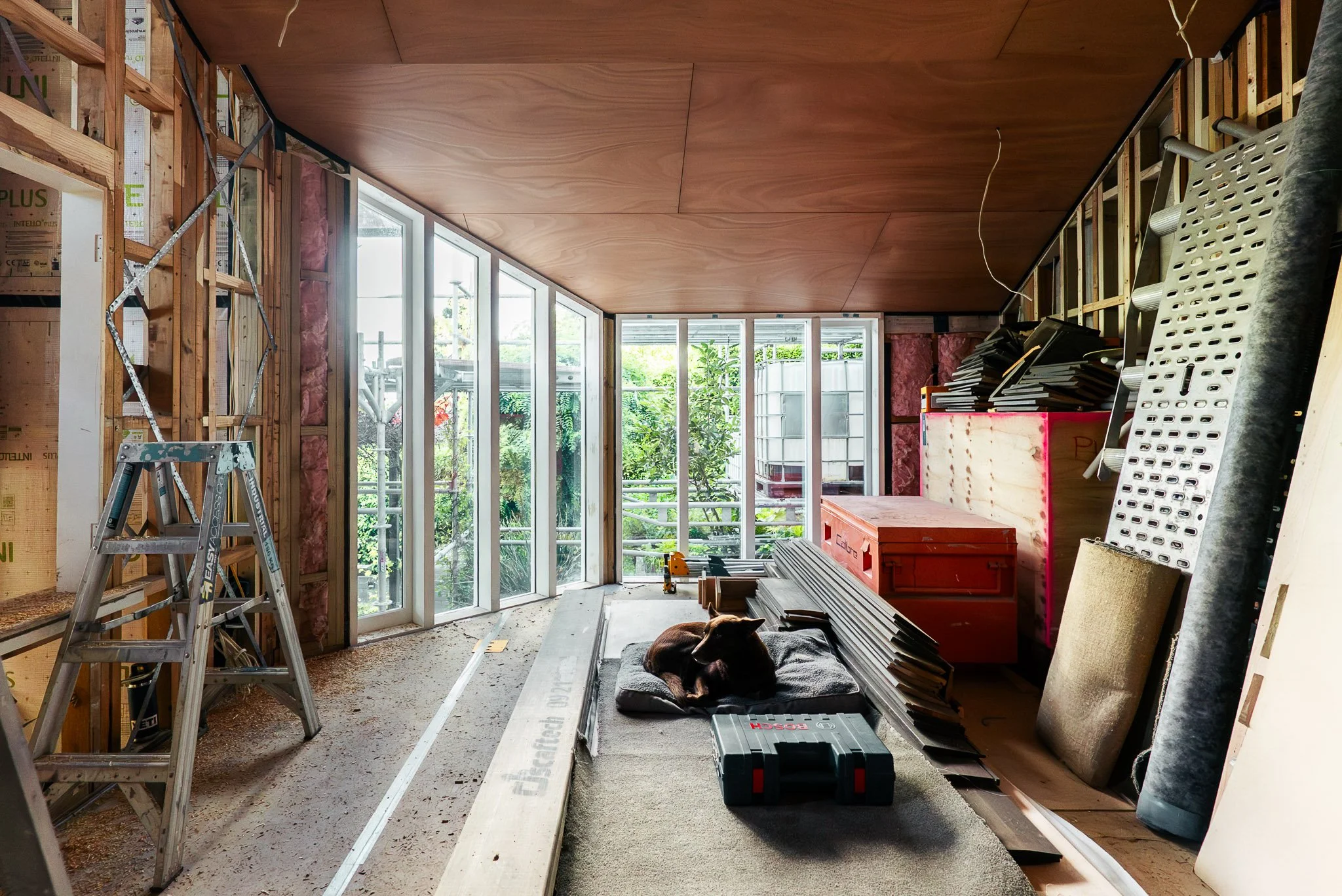 WG - Architectural Renovation Remuera in process 12.jpg