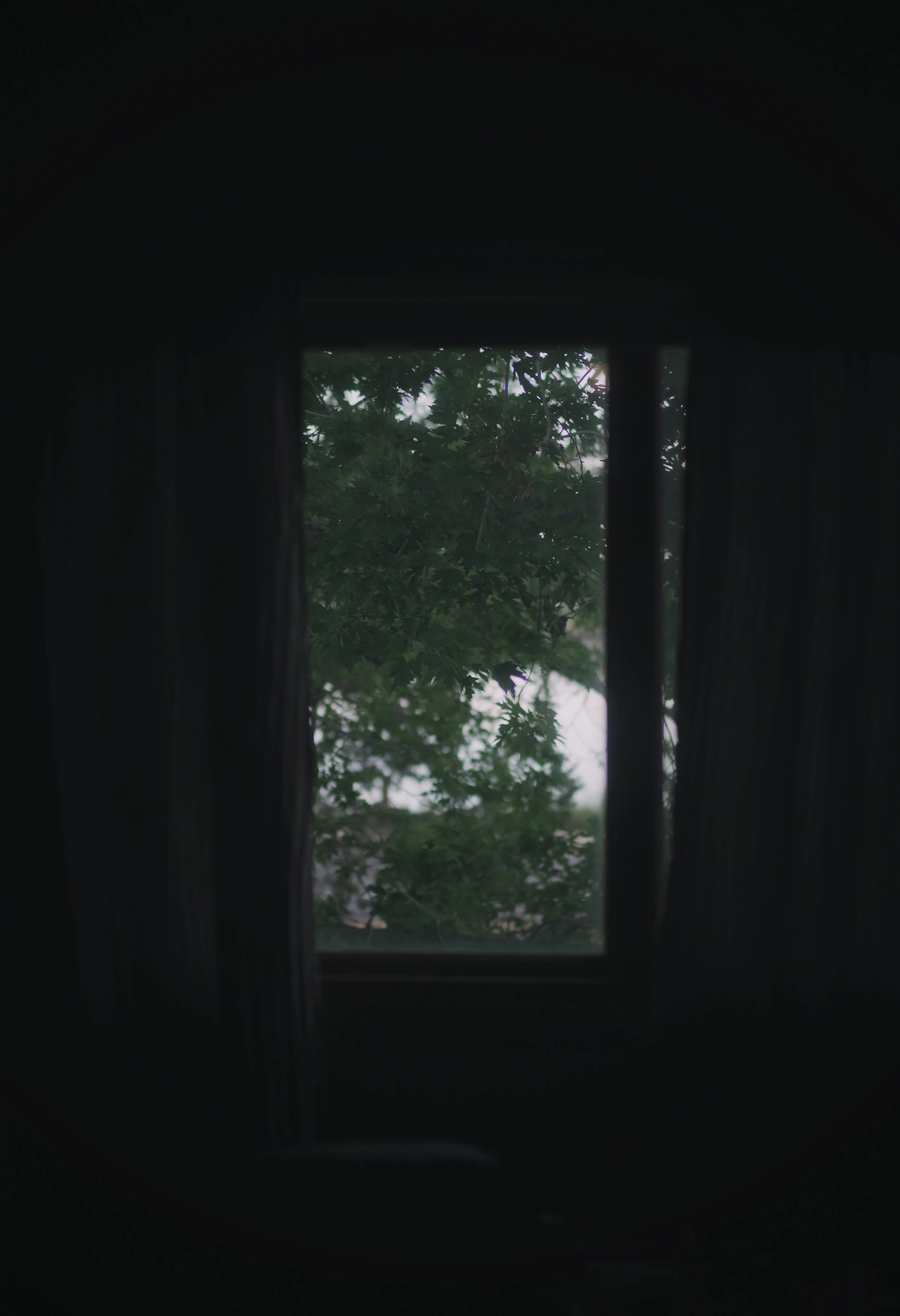 View of green leafy trees outside through a window with black curtains on either side.