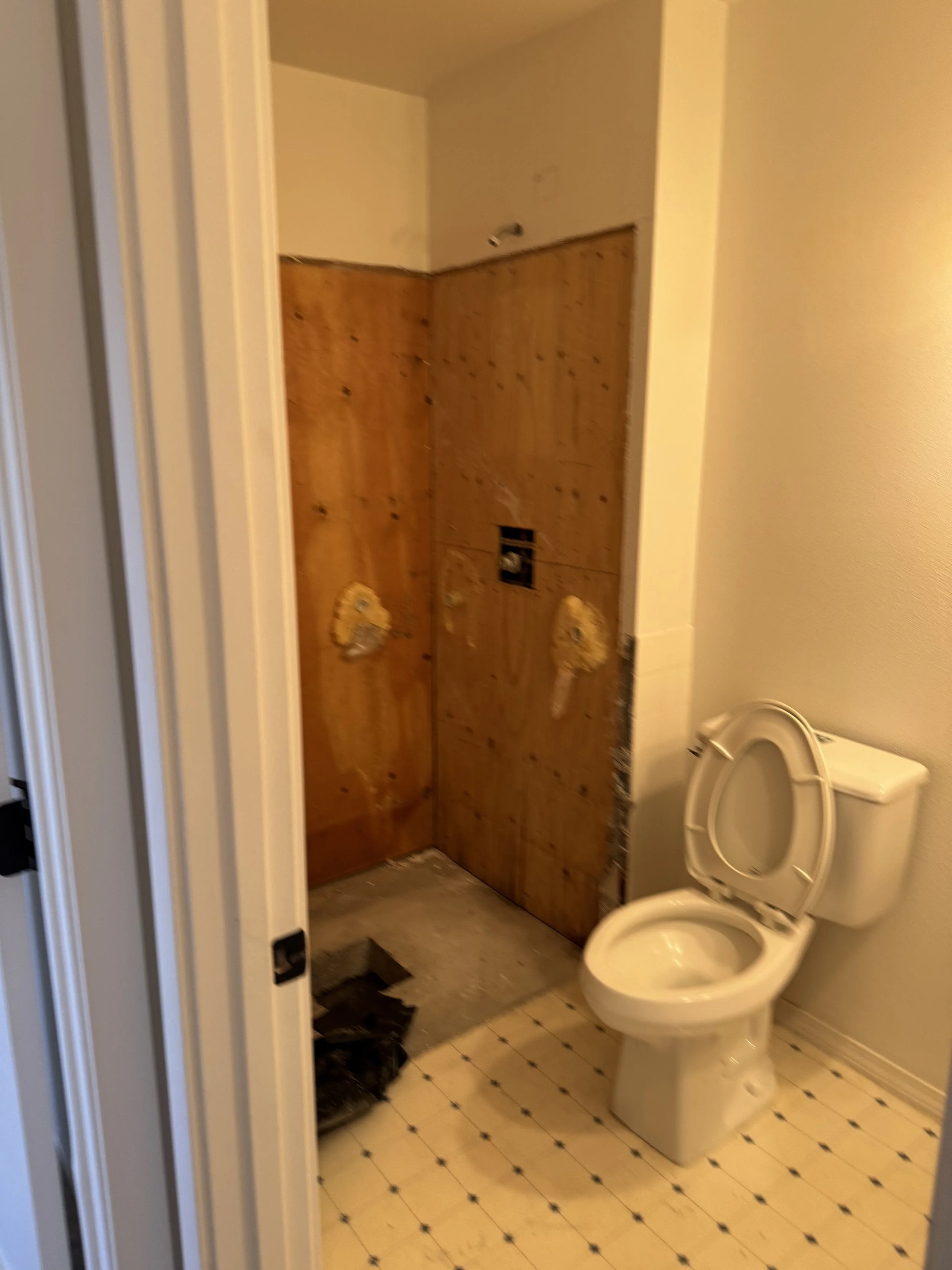 Guest bathroom after we took out shower, getting new shower extended and tiled.