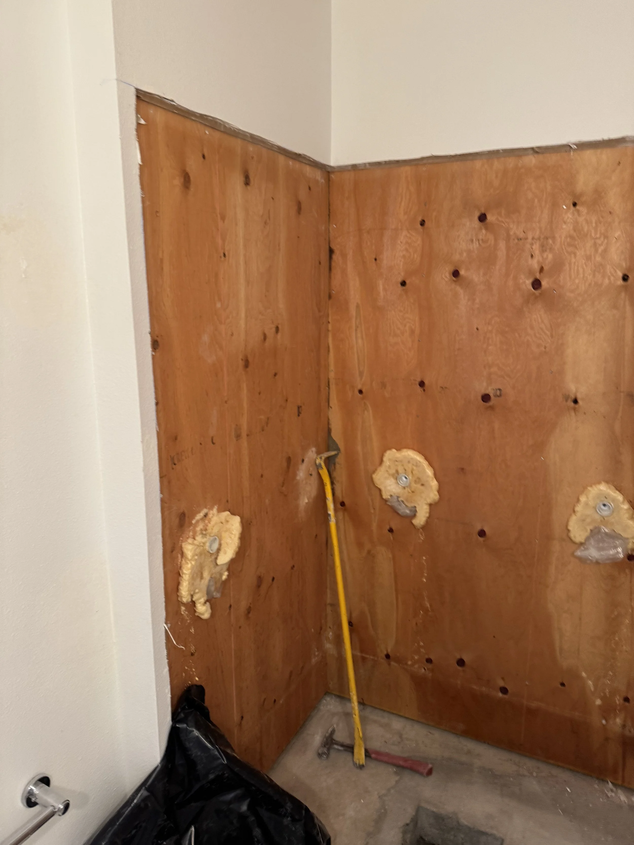 Another pic of the guest bath tear out.
