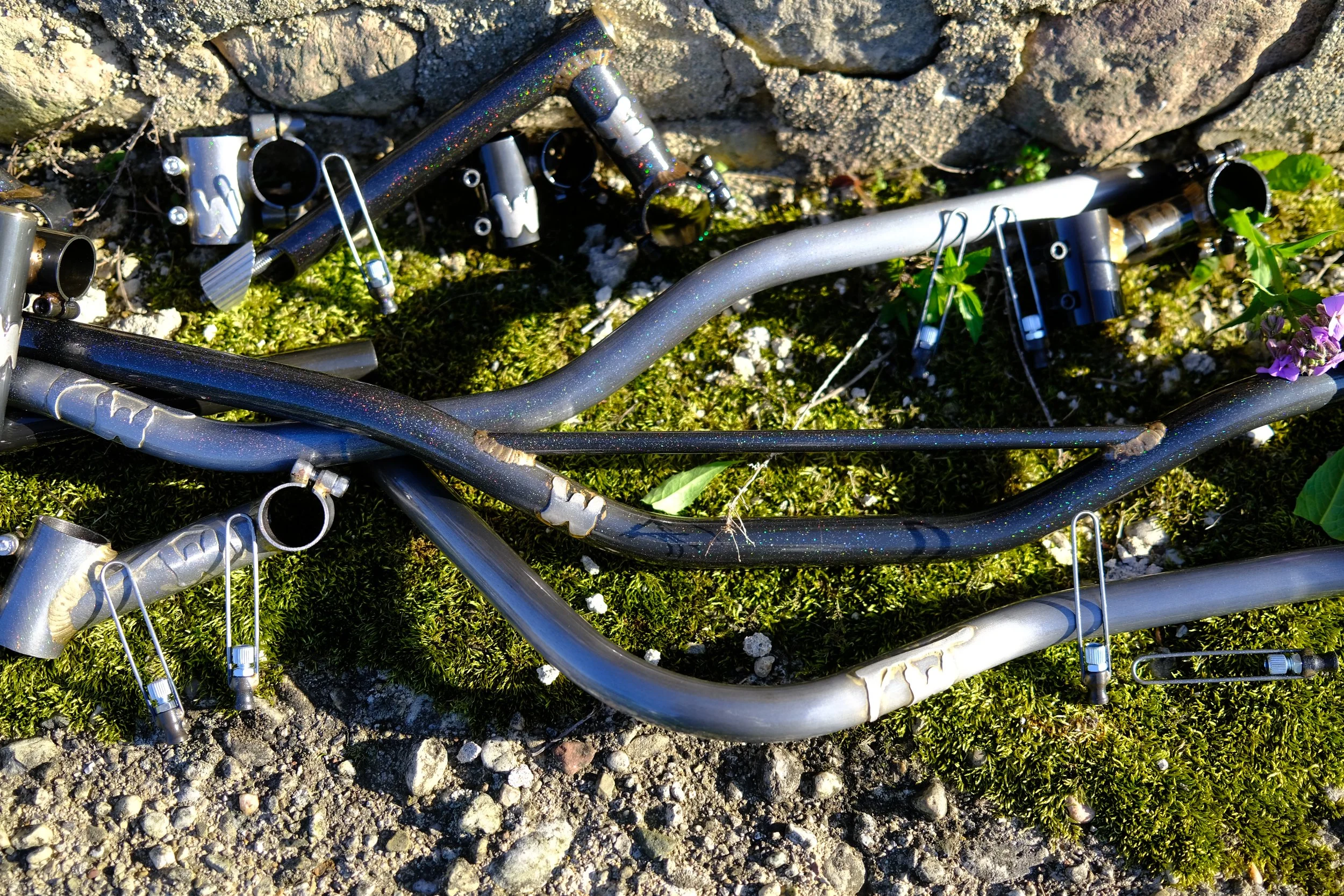 DSCF5171.JPG
