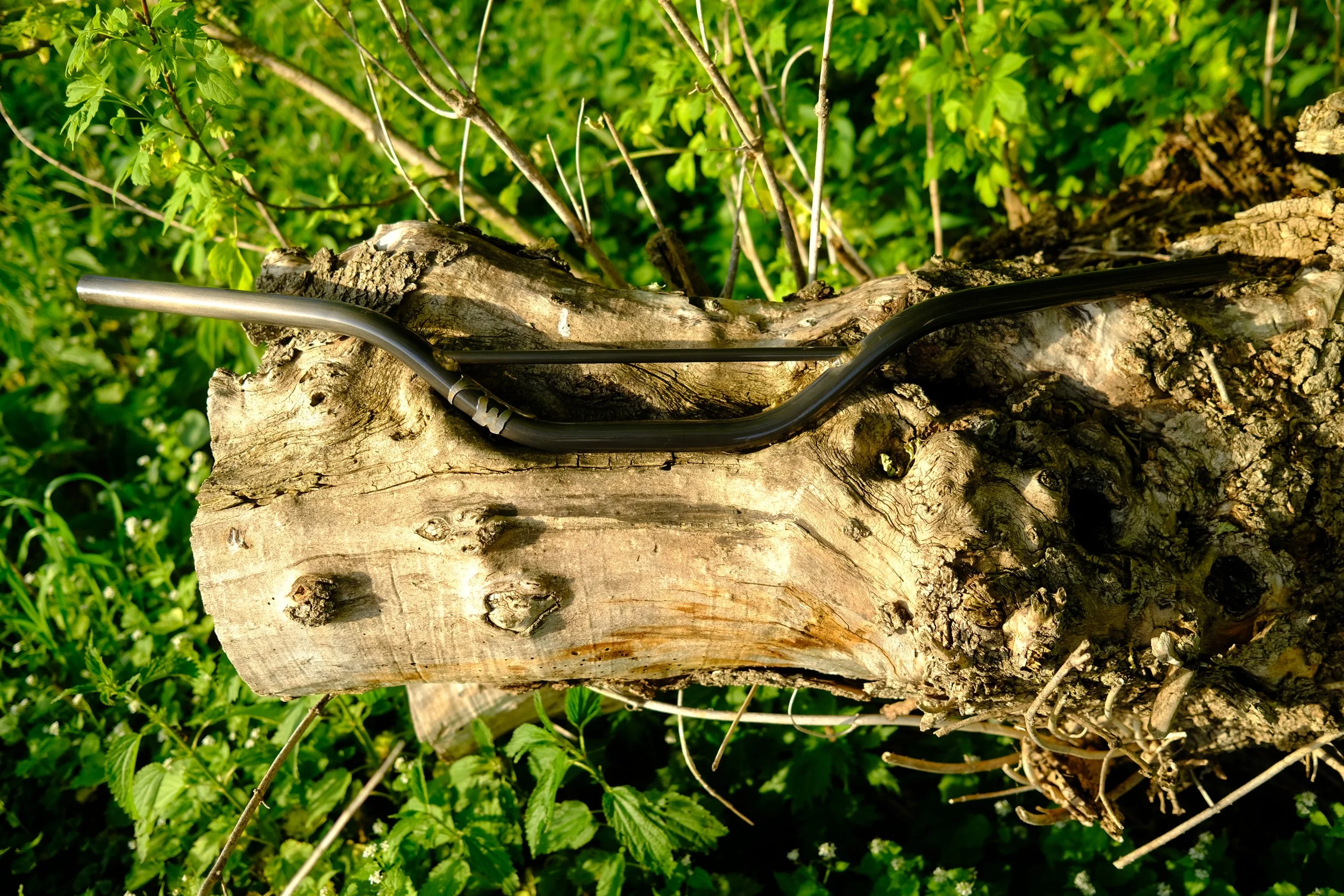DSCF5441.JPG