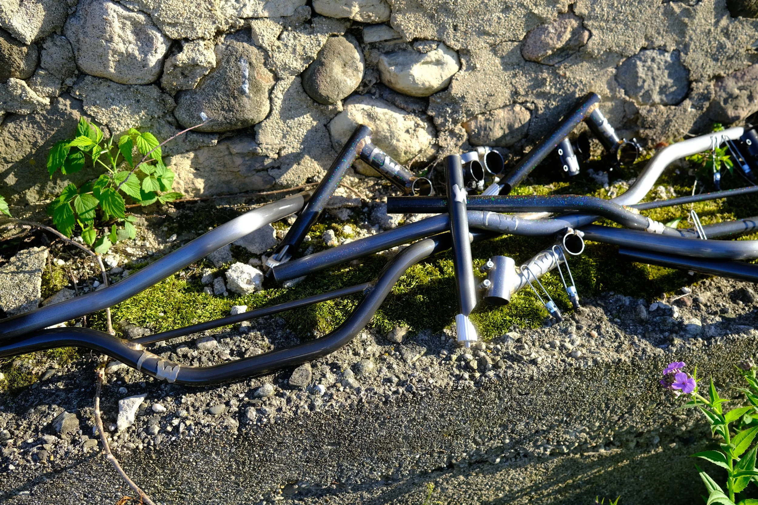 DSCF5145.JPG