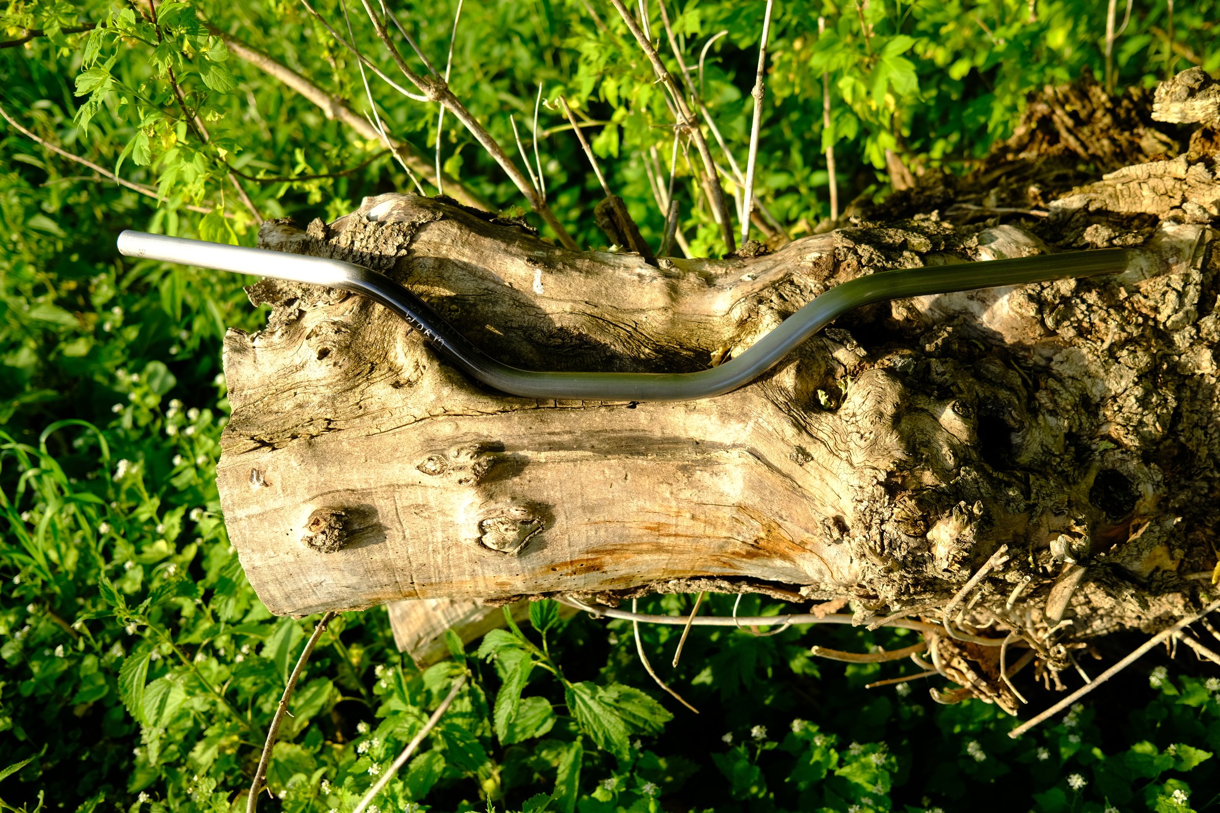 DSCF5436.JPG