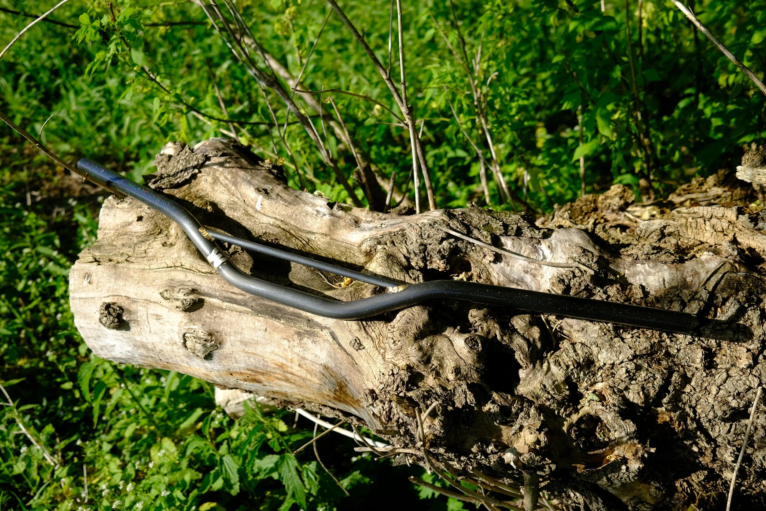 DSCF4891.JPG