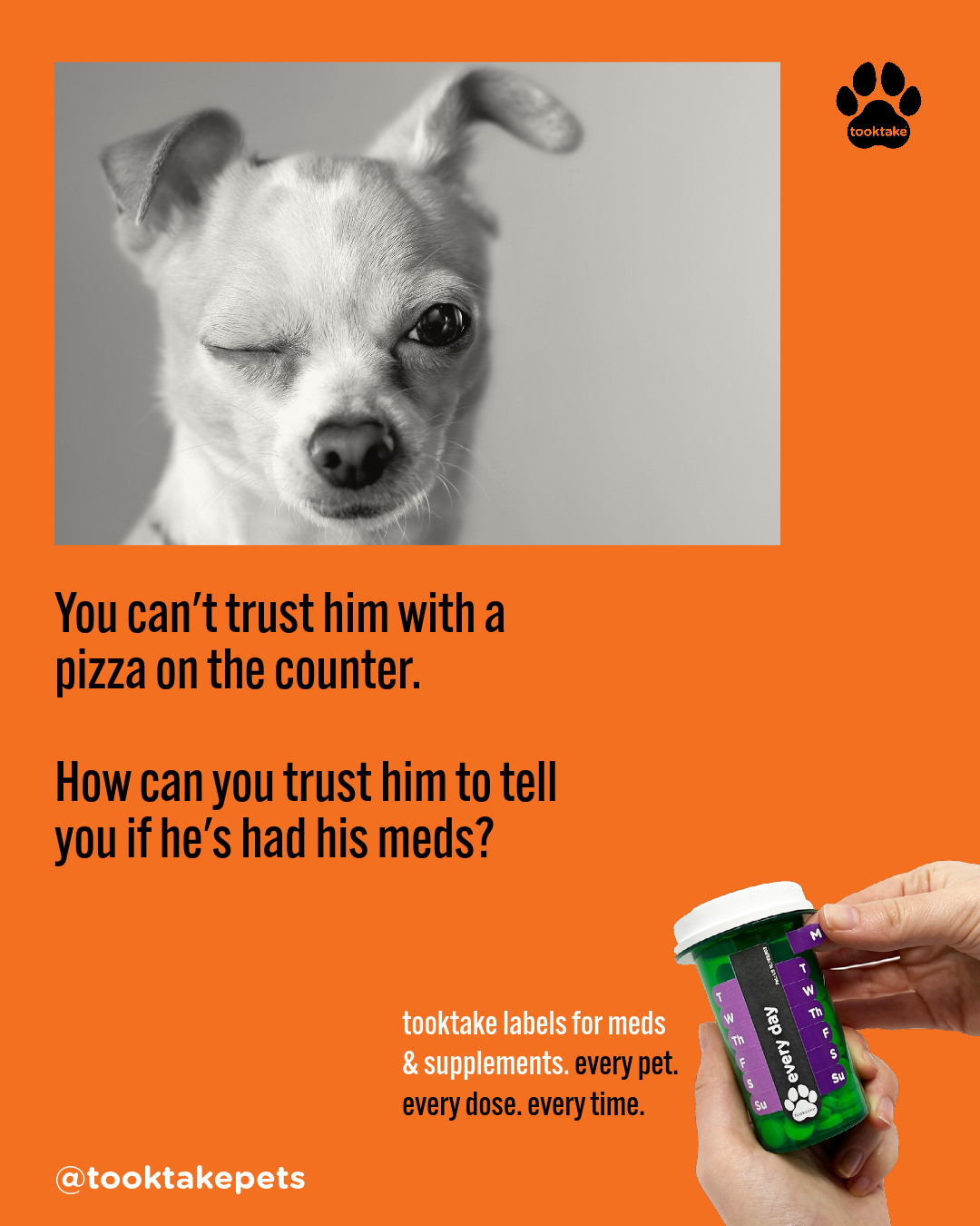 TT Pets Trust-1.png