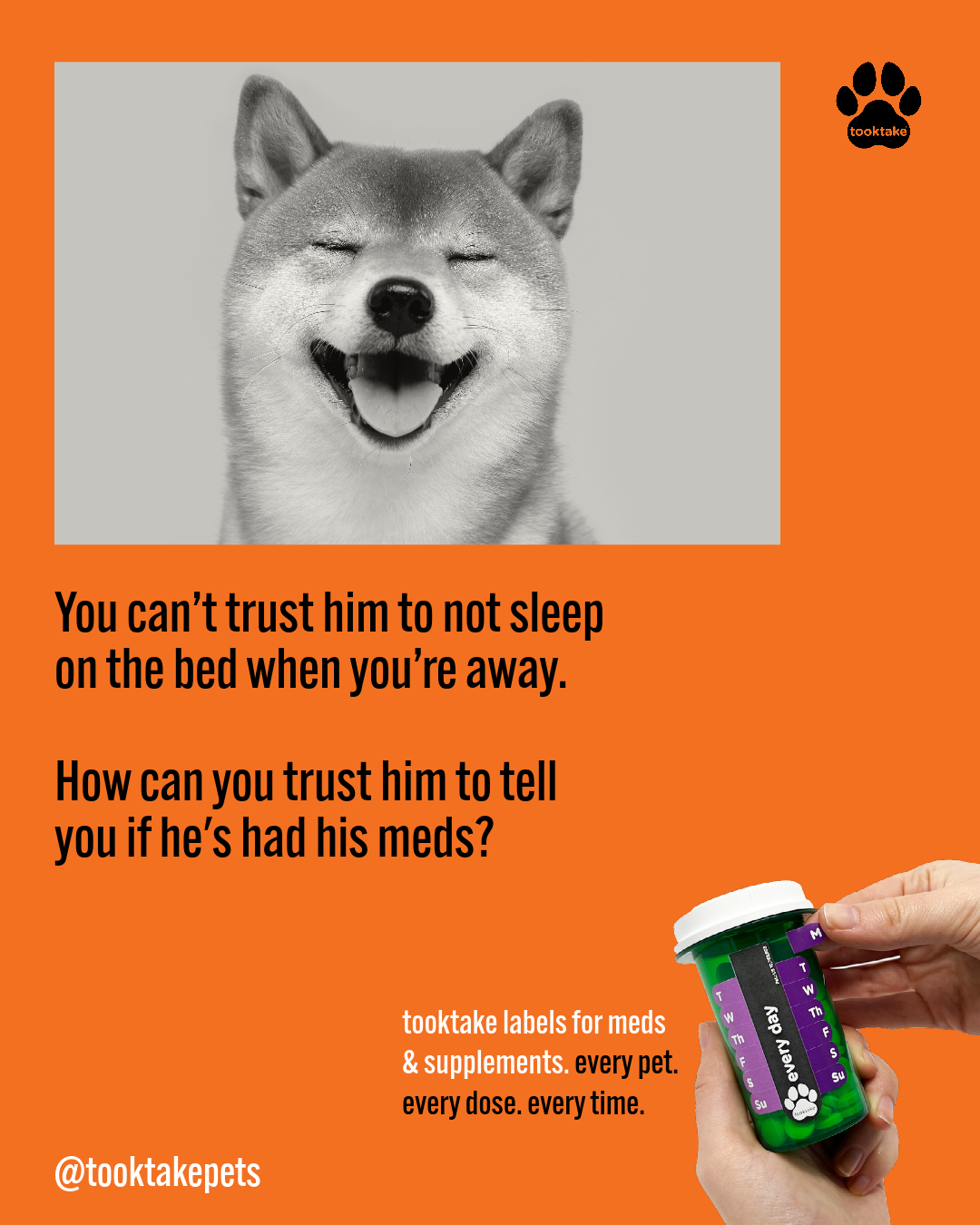 TT Pets Trust-4.png