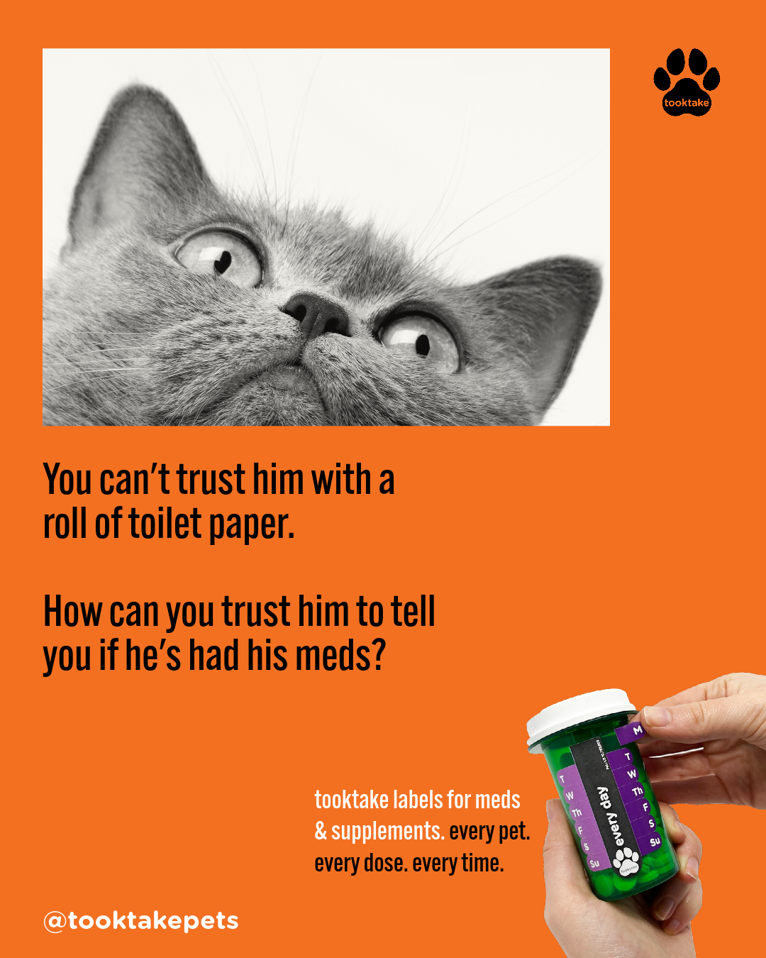 TT Pets Trust-2.png