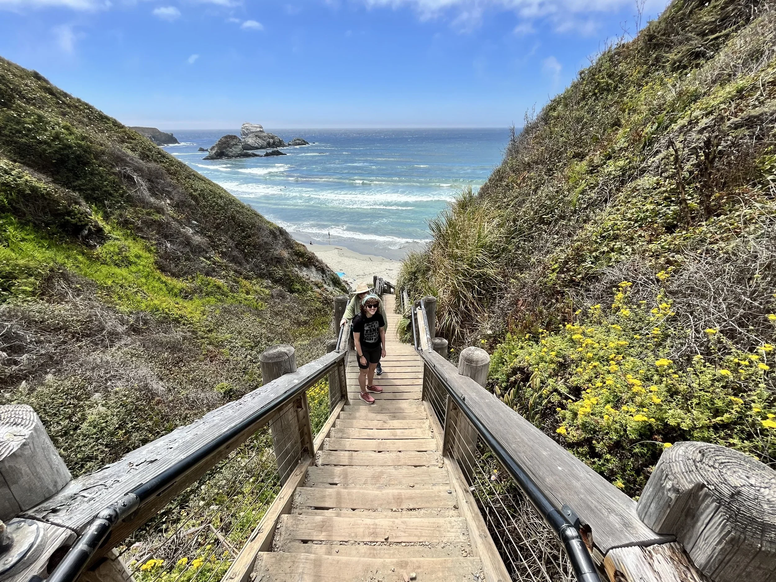 A wooden staircase leading down through a lush hillside with green plants and yellow flowers, toward a sandy beach and ocean with large rocks in the water under a bright blue sky.