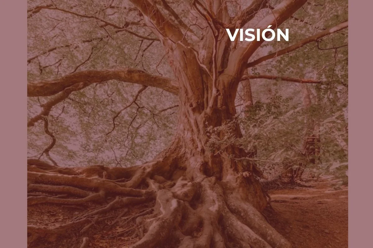 Árbol grande con raíces expuestas en un paisaje natural.
