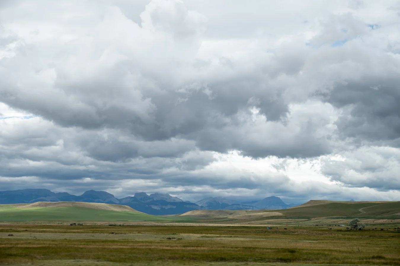 Wide view of a grassy plain under a cloudy sky with mountains in the distance.